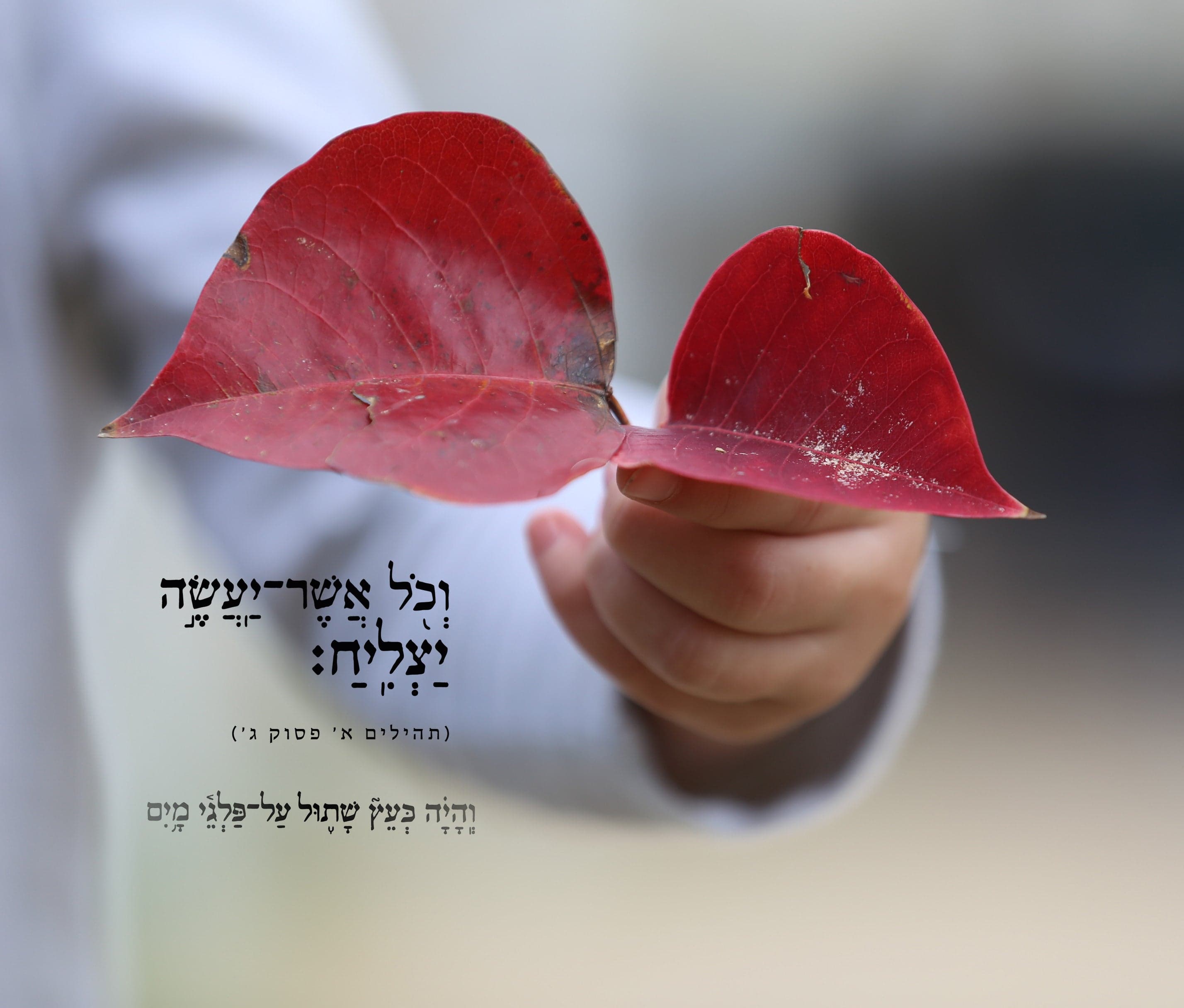וכל אשר יעשה יצליח 1