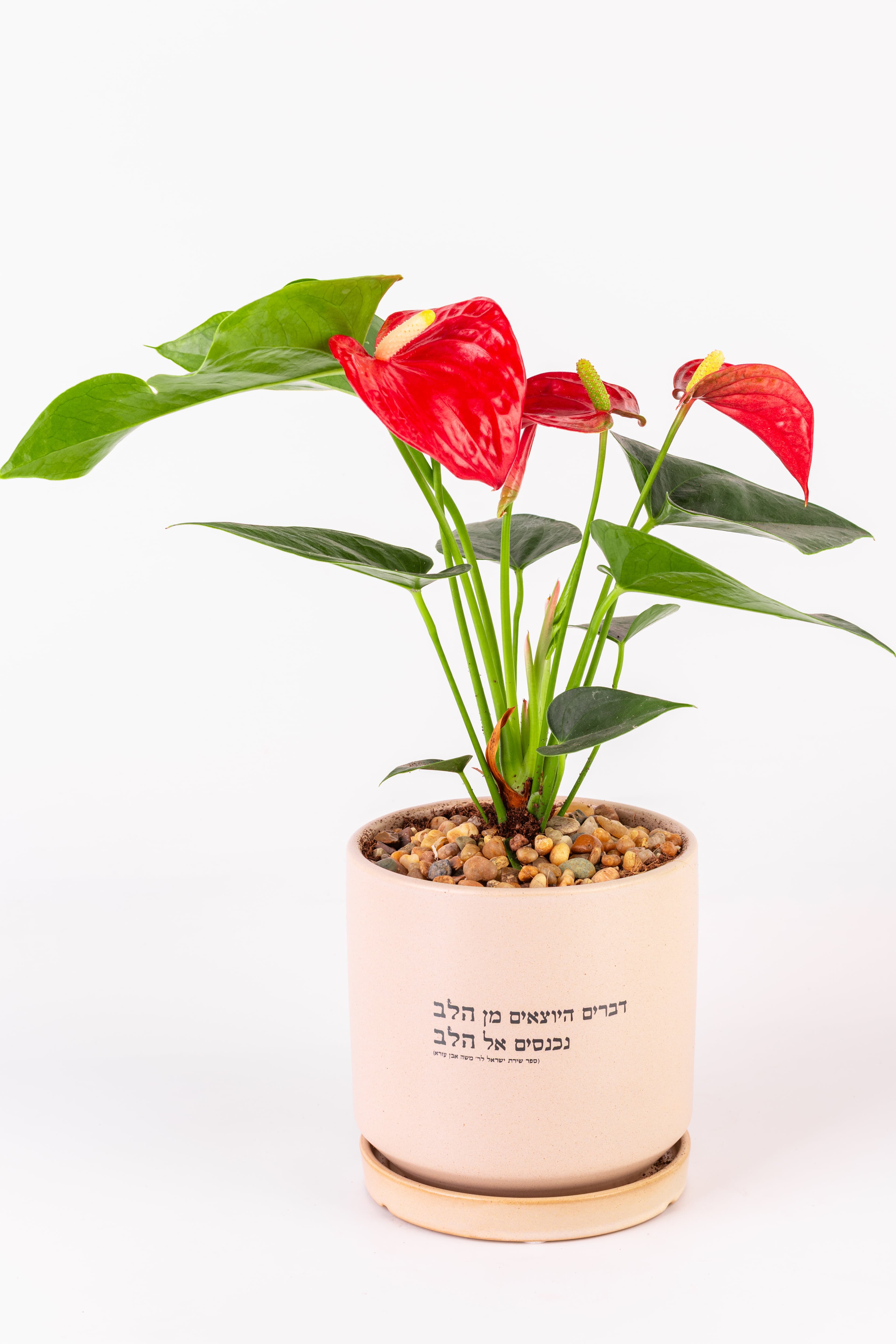 דברים היוצאים מן הלב