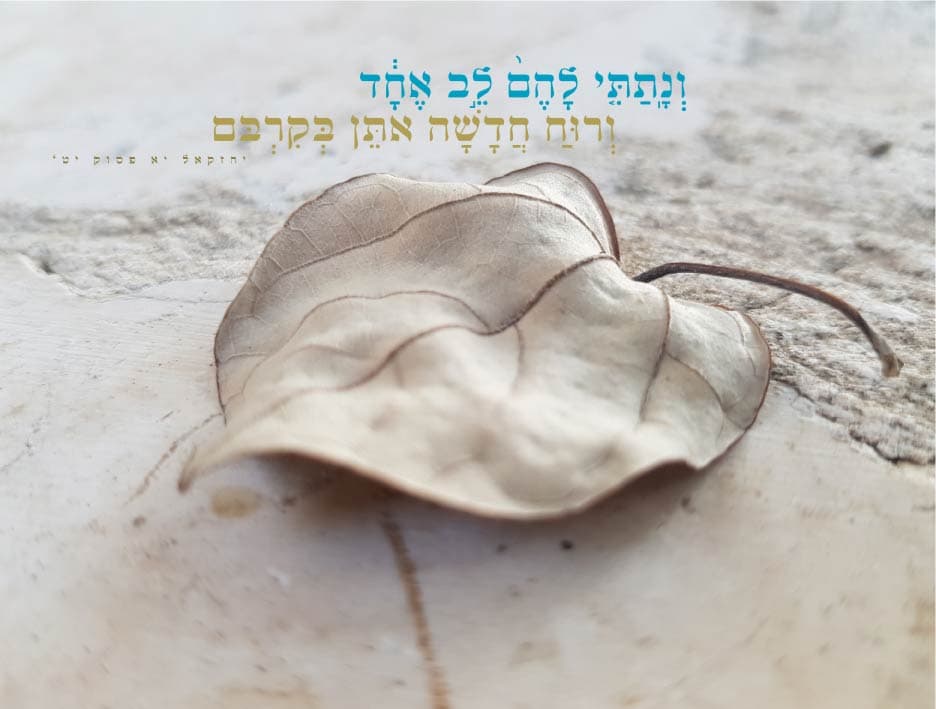 ונתתי להם לב אחד