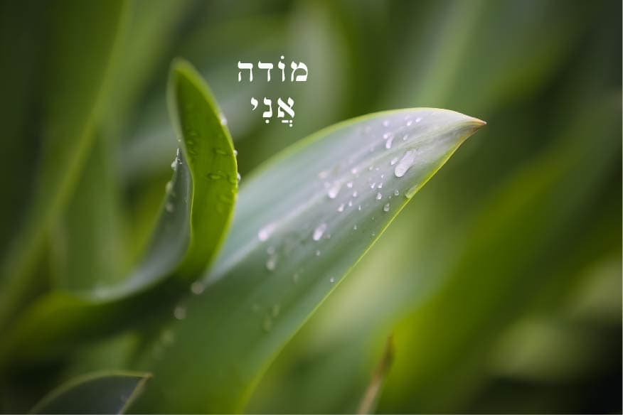 מודה אני