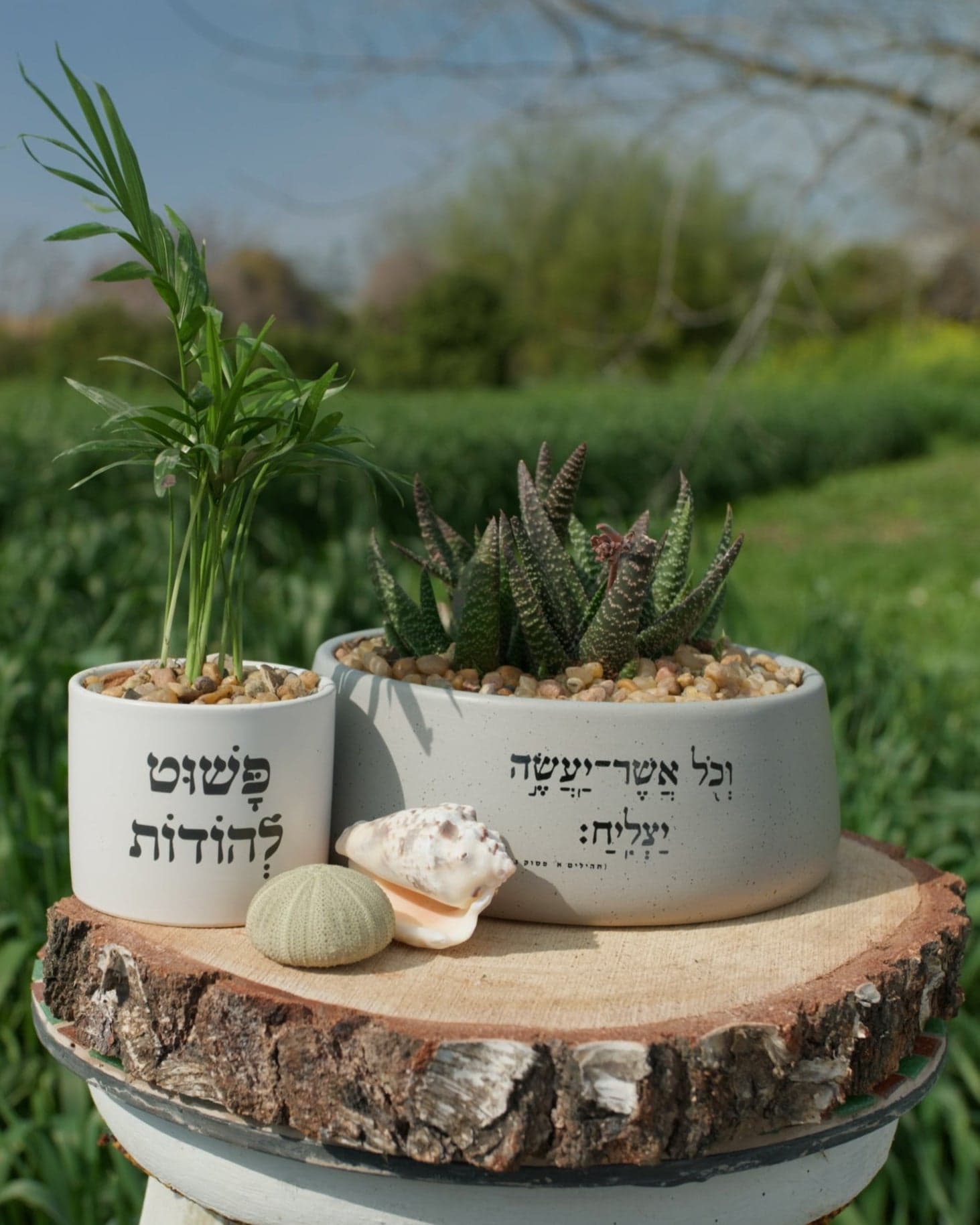 מארז: אדנית "וכל אשר יעשה יצליח" + עציץ פשוט להודות