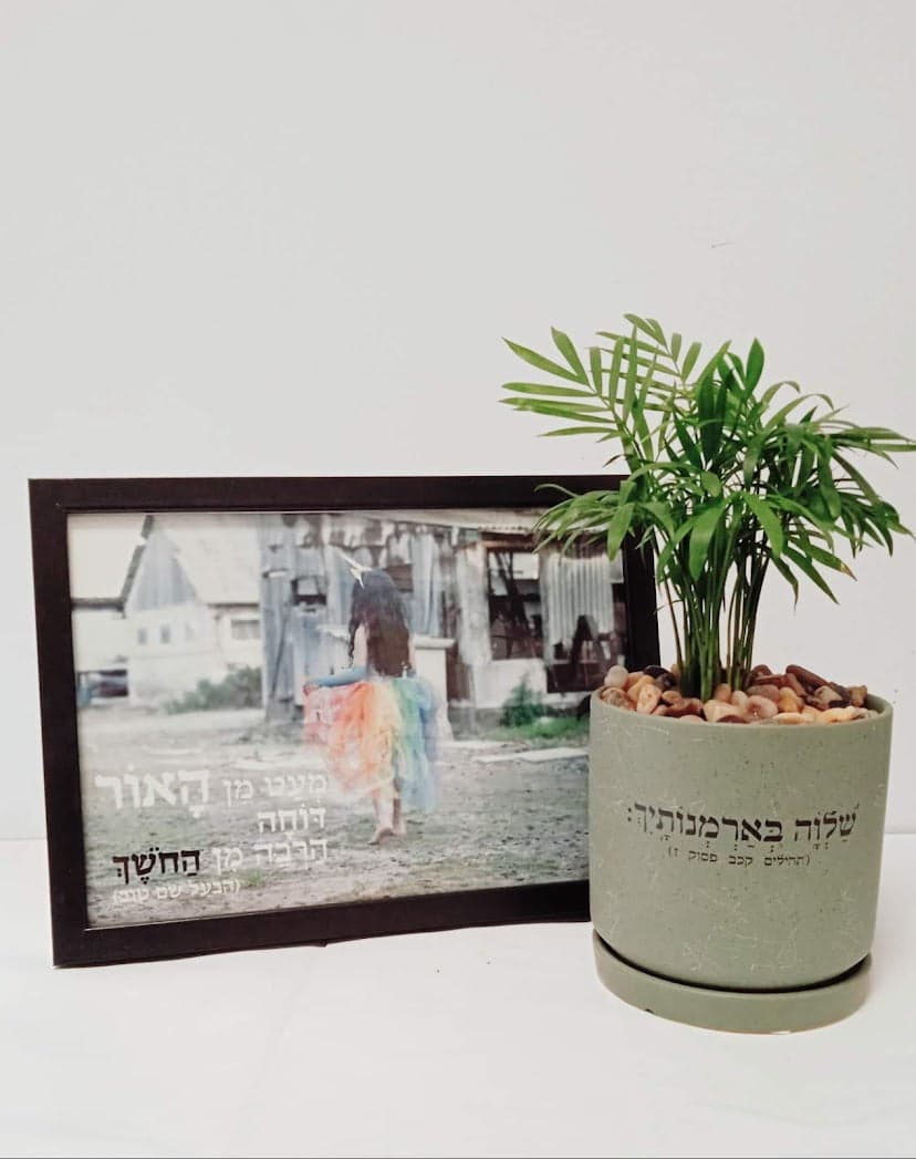 מארז - שלווה בארמונותיך + מעט מן האור