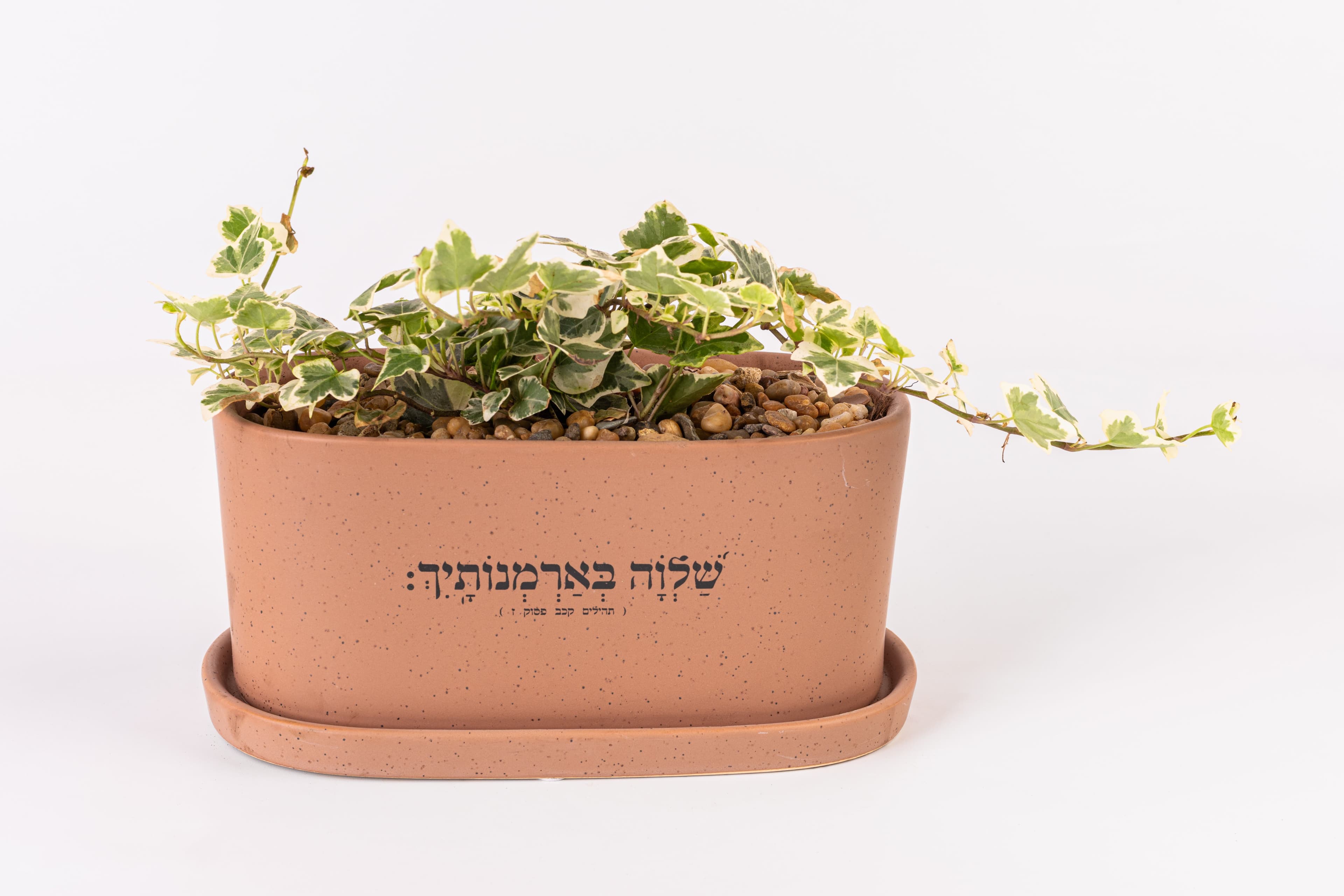שלווה בארמונותייך - אדניות 1