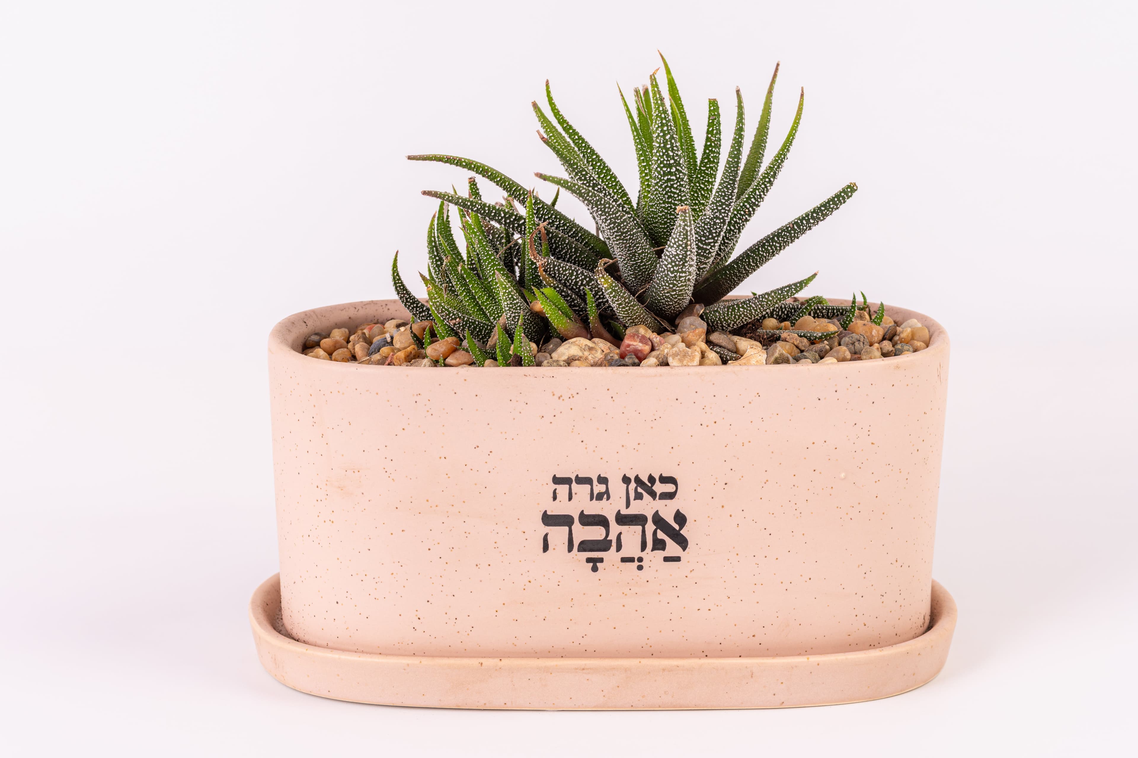 כאן גרה אהבה - אדניות 1
