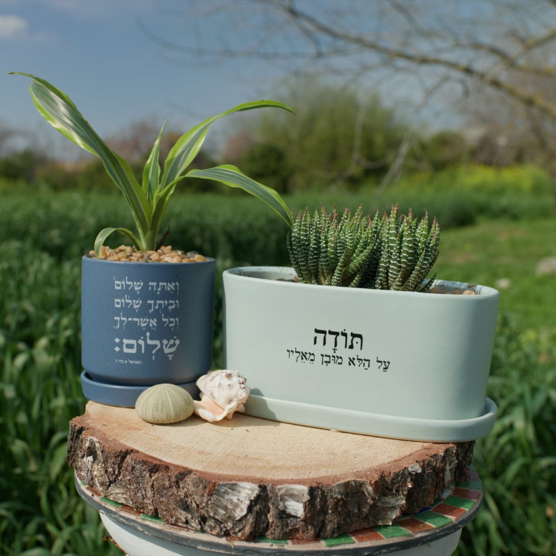 מארז: אדנית אובלית "תודה על הלא מובן מאליו" + עציץ ואתה שלום וביתך שלום