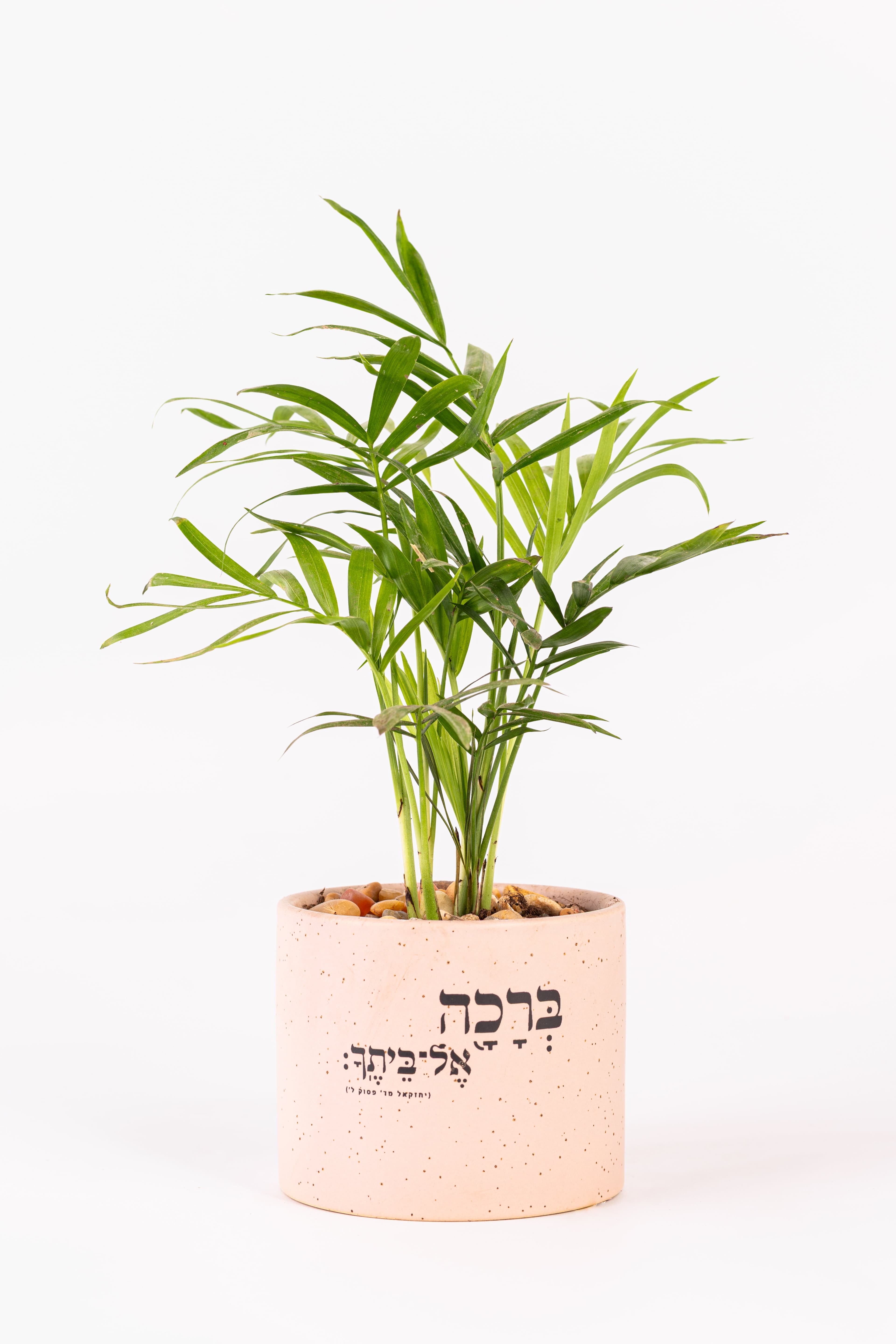 ברכה אל ביתך 1