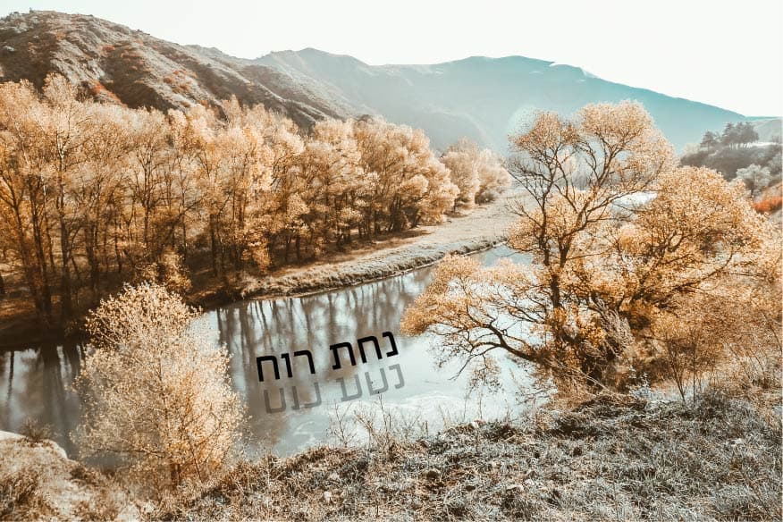 נחת רוח