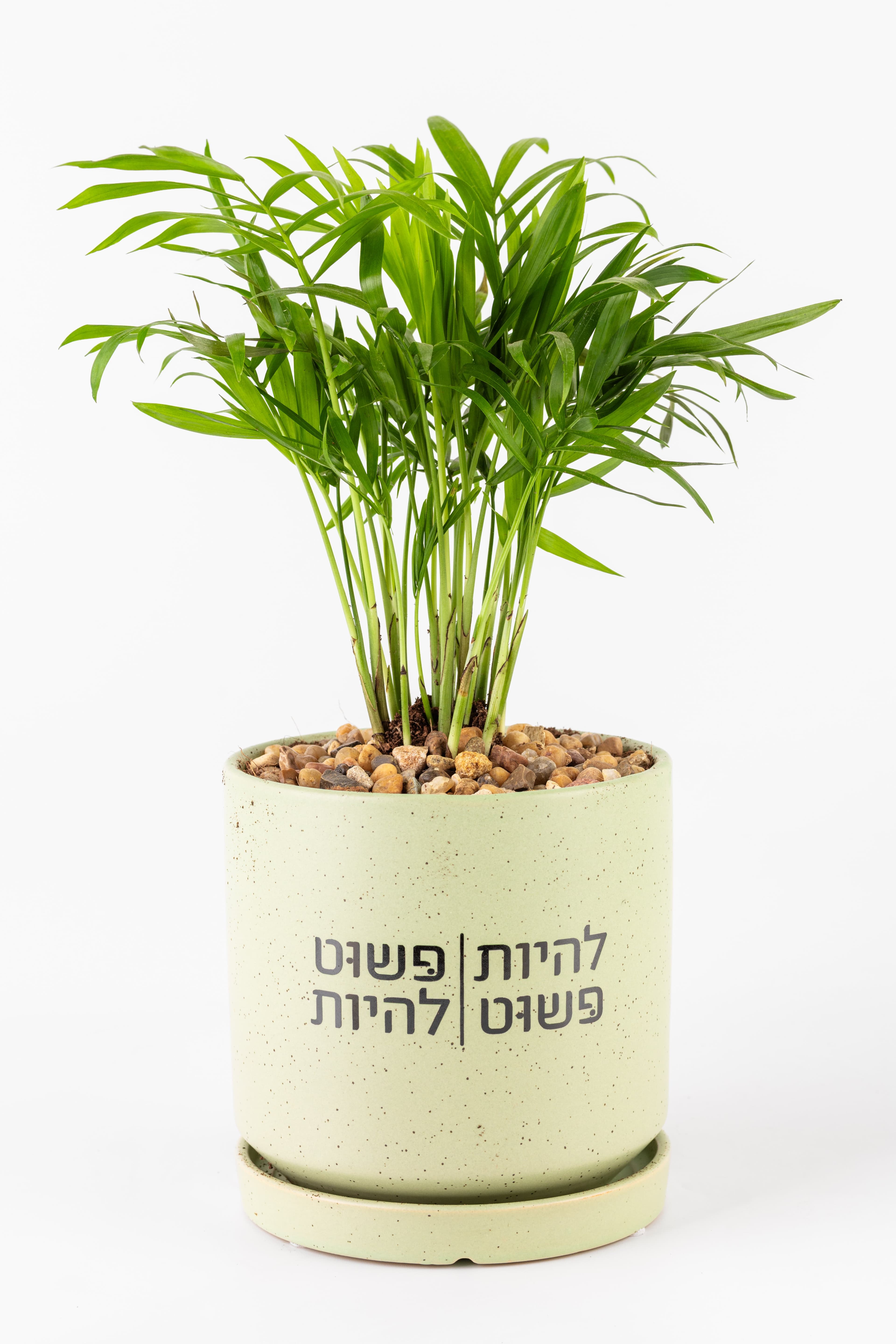 להיות פשוט, פשוט להיות L