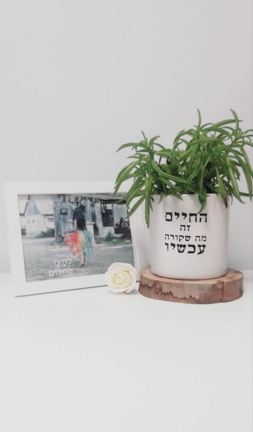 מארז החיים זה עכשיו + להעז לחלום