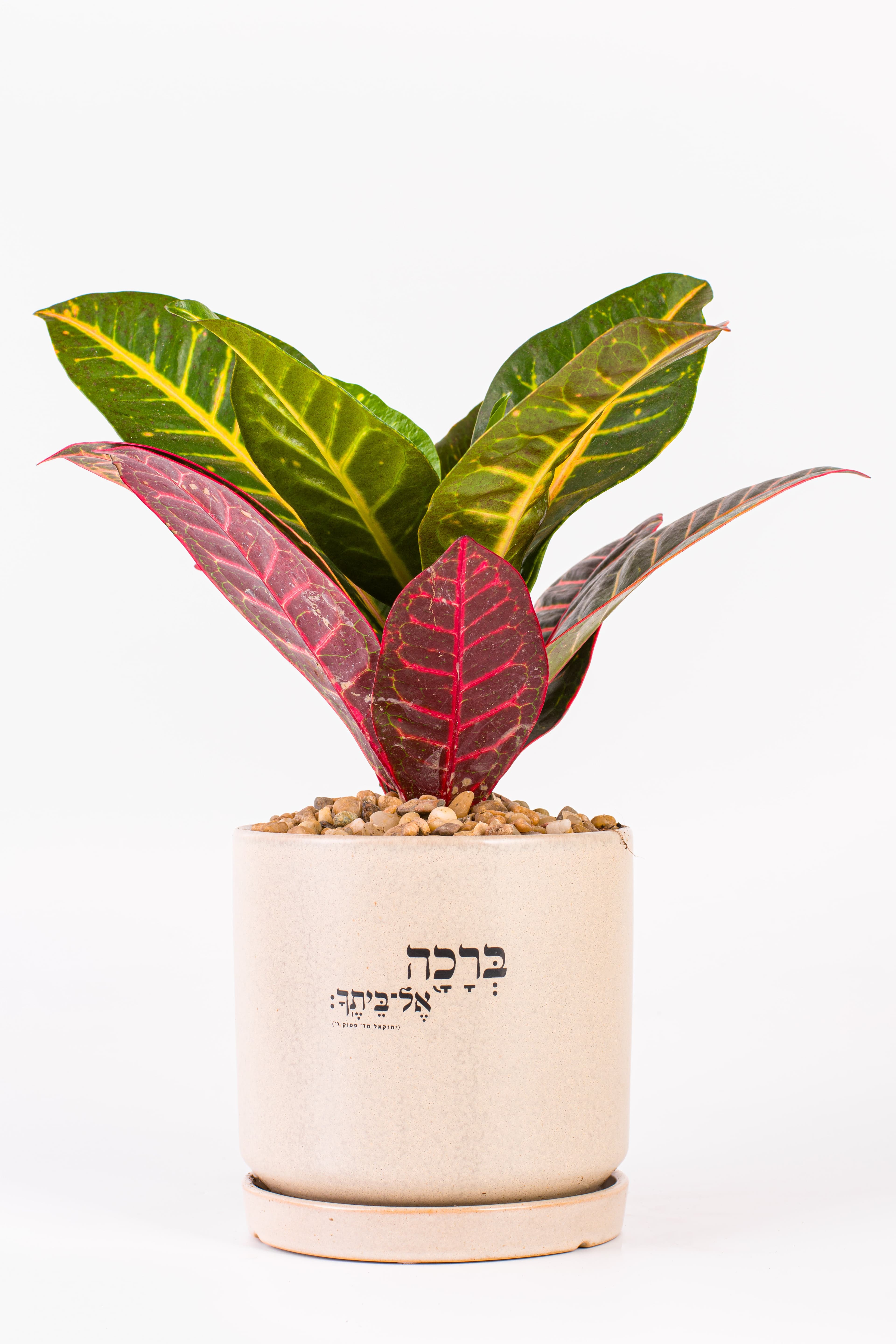 ברכה אל ביתך 1