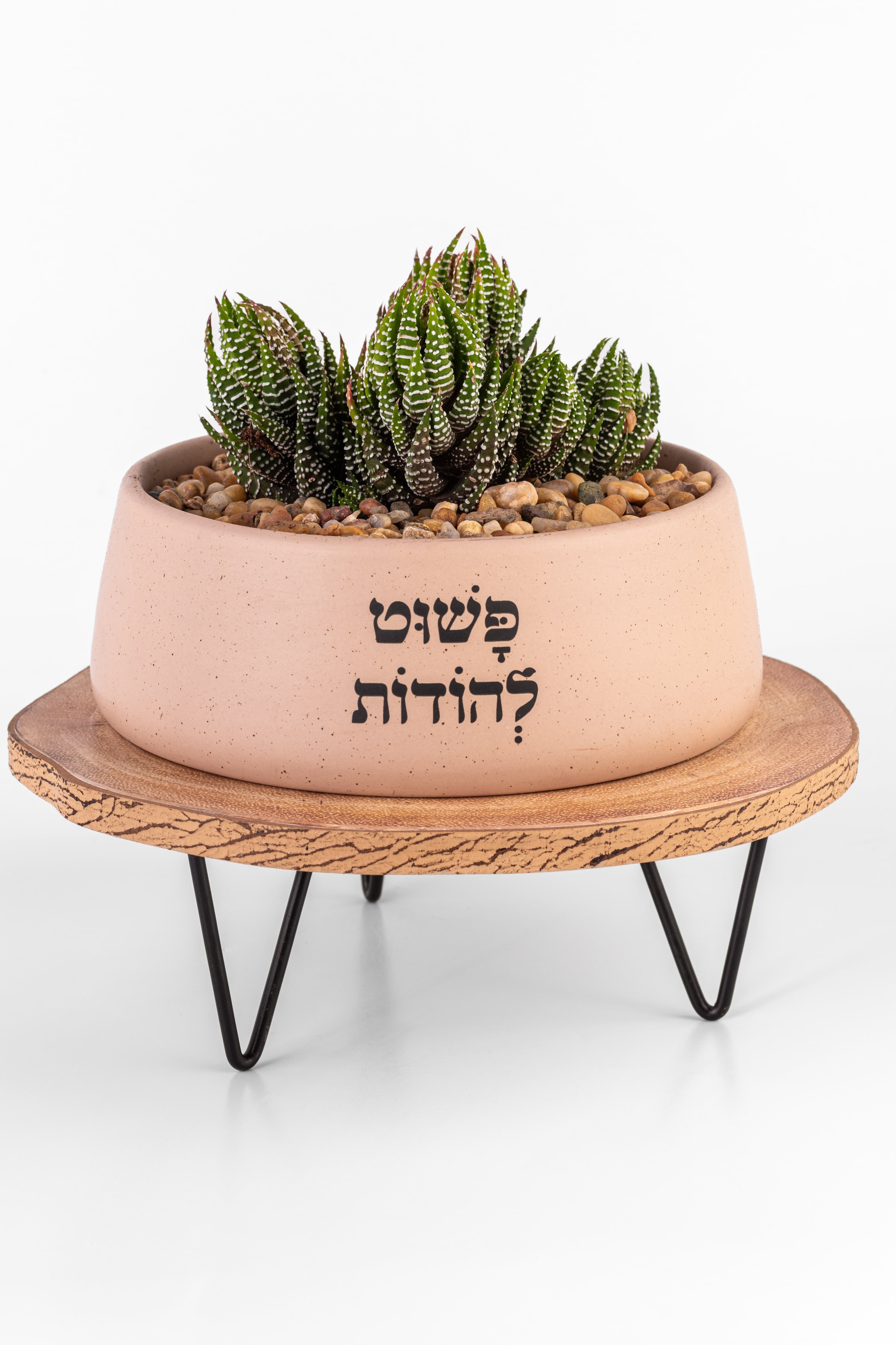 פשוט להודות - אדניות