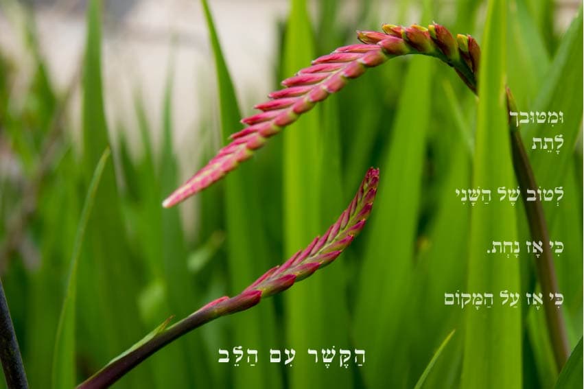 ומטובך לתת לטוב של השני