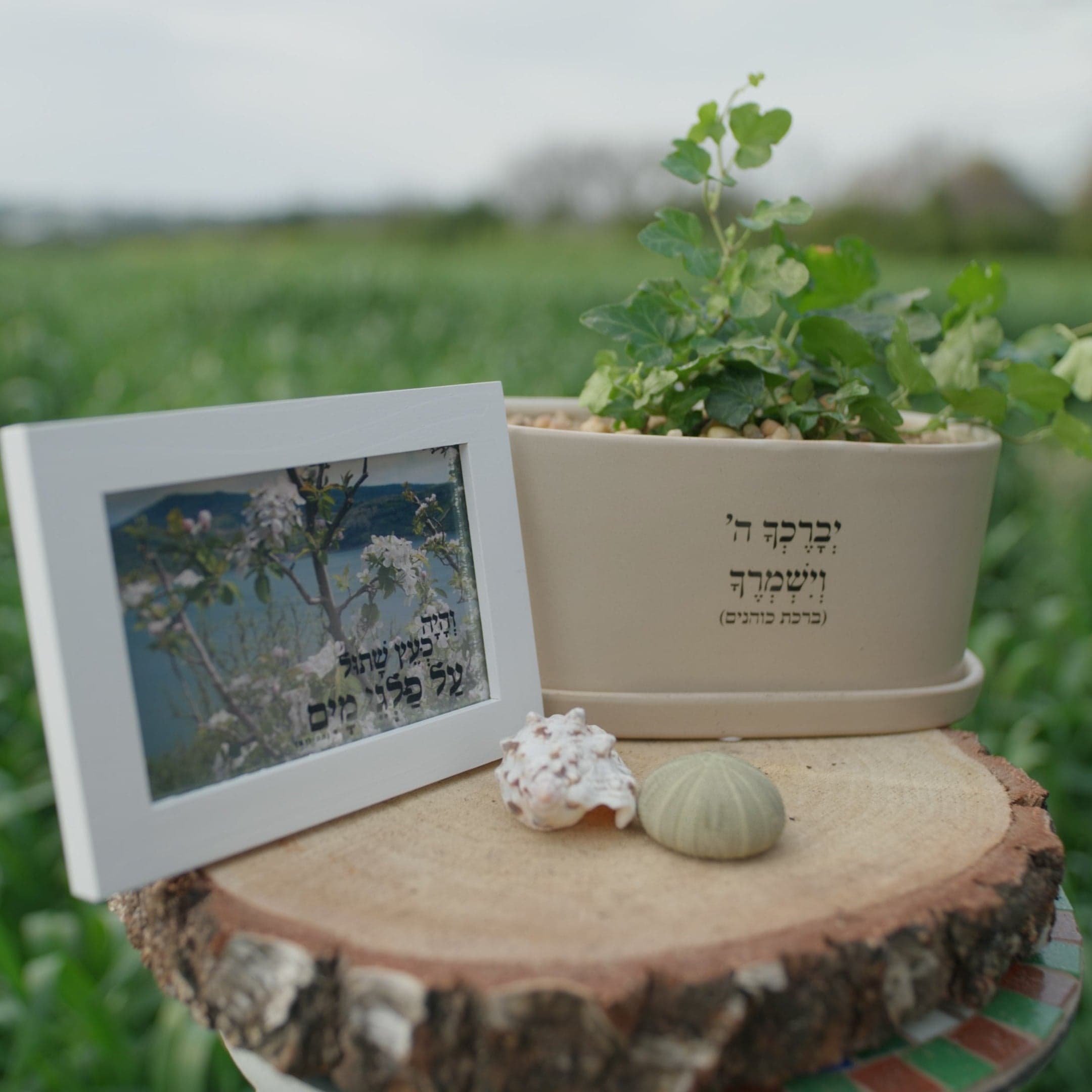 מארז: אדנית אובלית יברכך השם וישמרך + תמונה והיה כעץ שתול על פלגי מים
