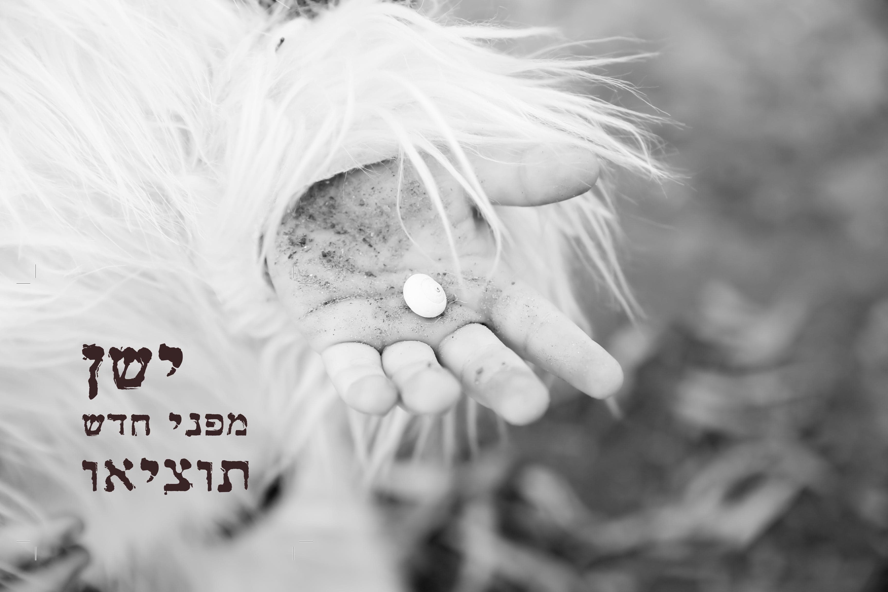 ישן מפני חדש תוציאו
