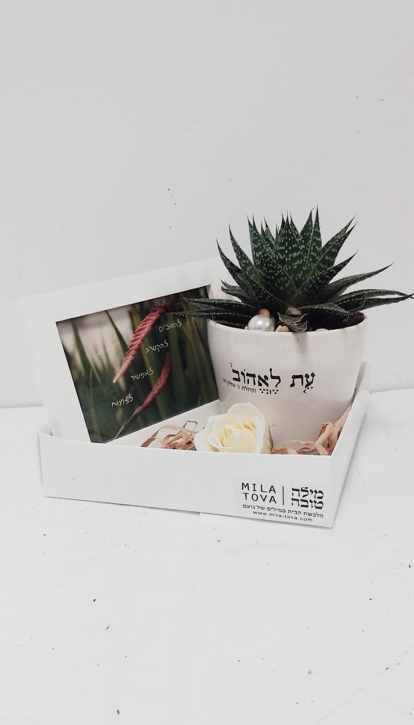 מארז עת לאהוב + להסכים להקשיב