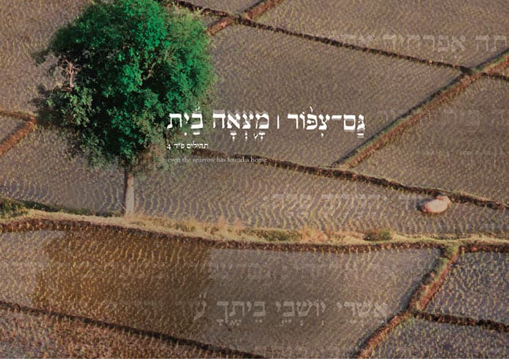 גם ציפור מצאה בית 1