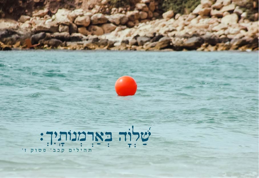 שלוה בארמונותיך