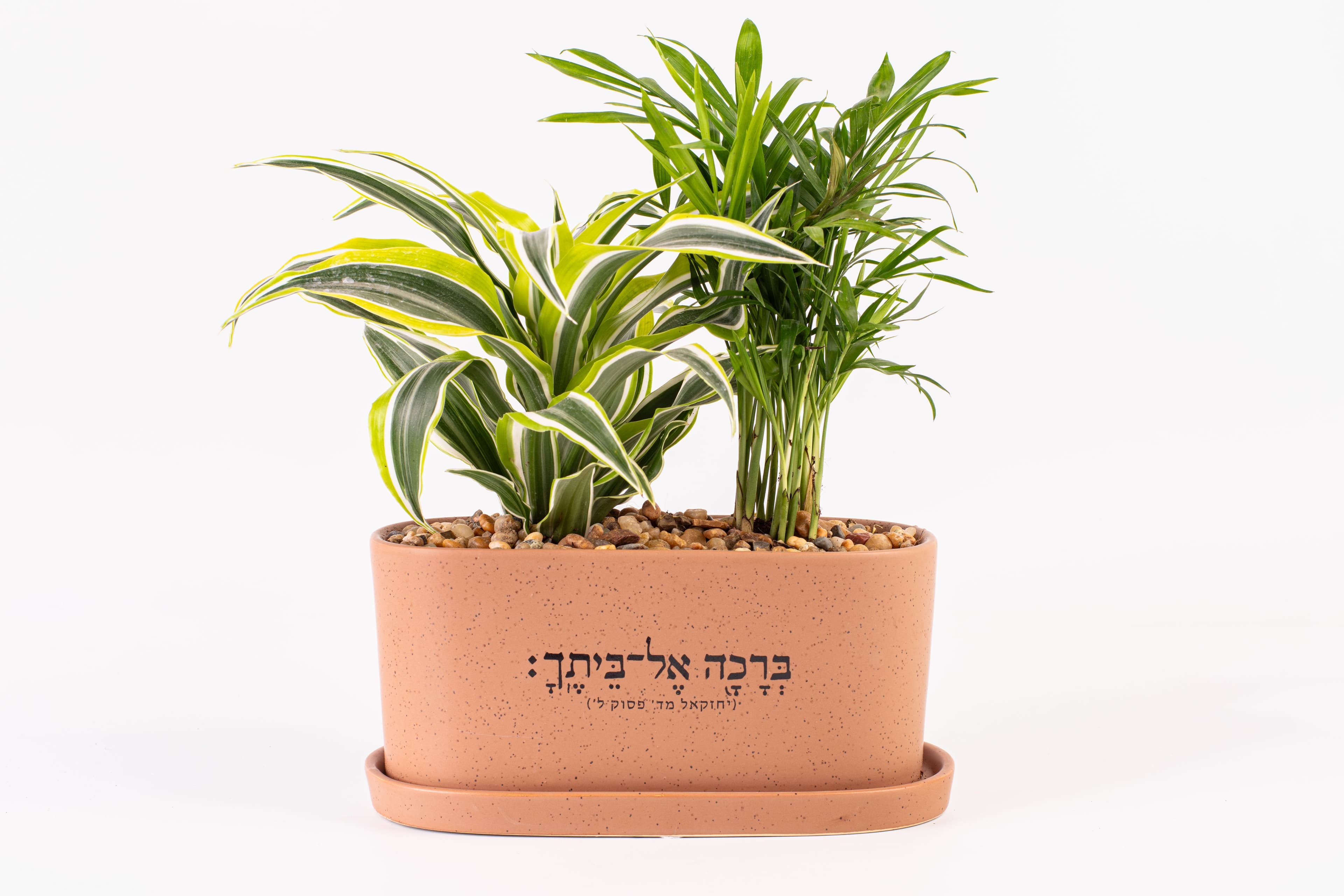 ברכה אל ביתך - אדניות