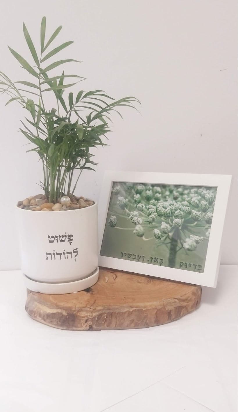 מארז פשוט להודות + בדיוק כאן