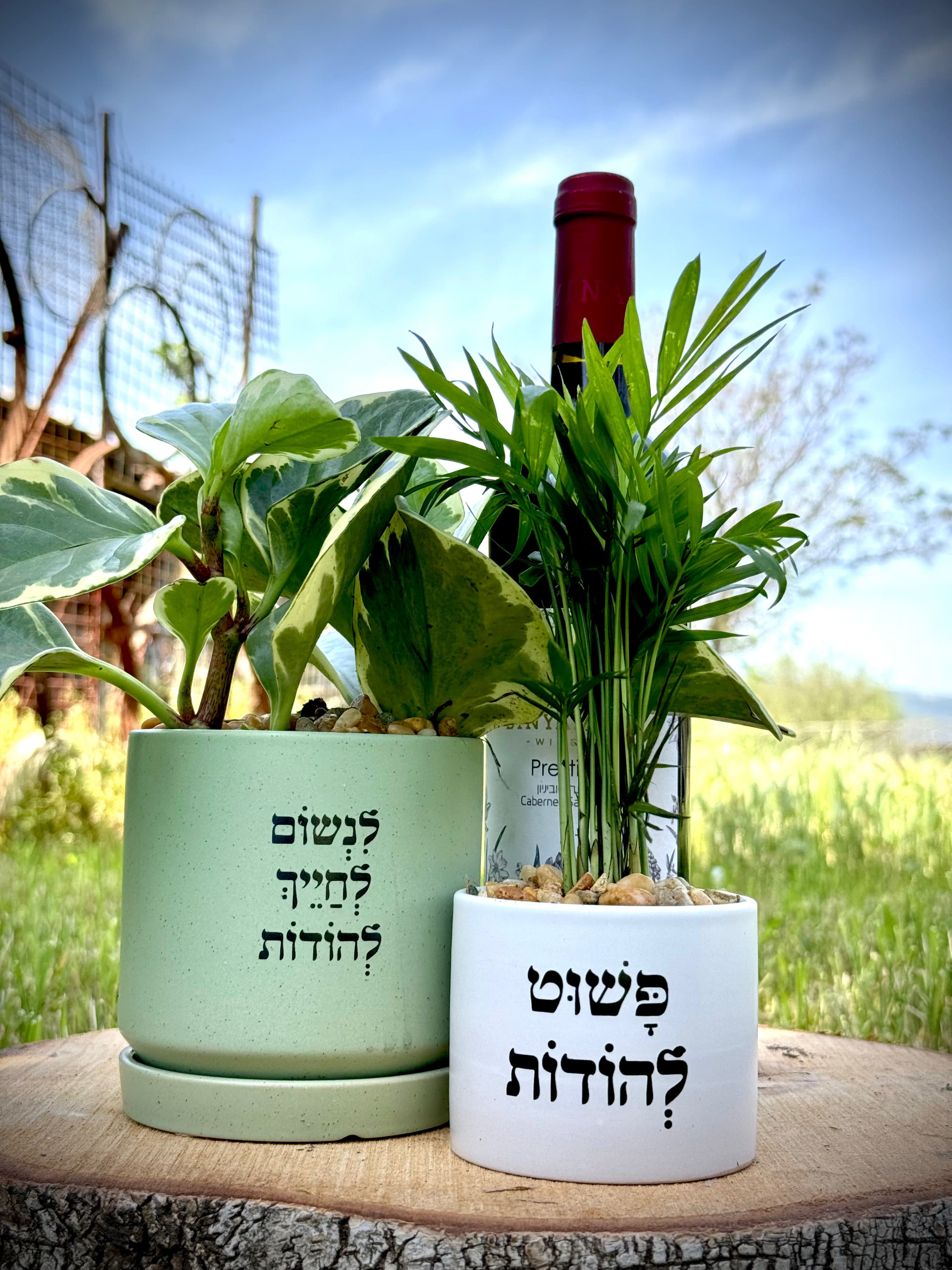 מארז לאיחול נשימה, חיוך ואמירת תודה