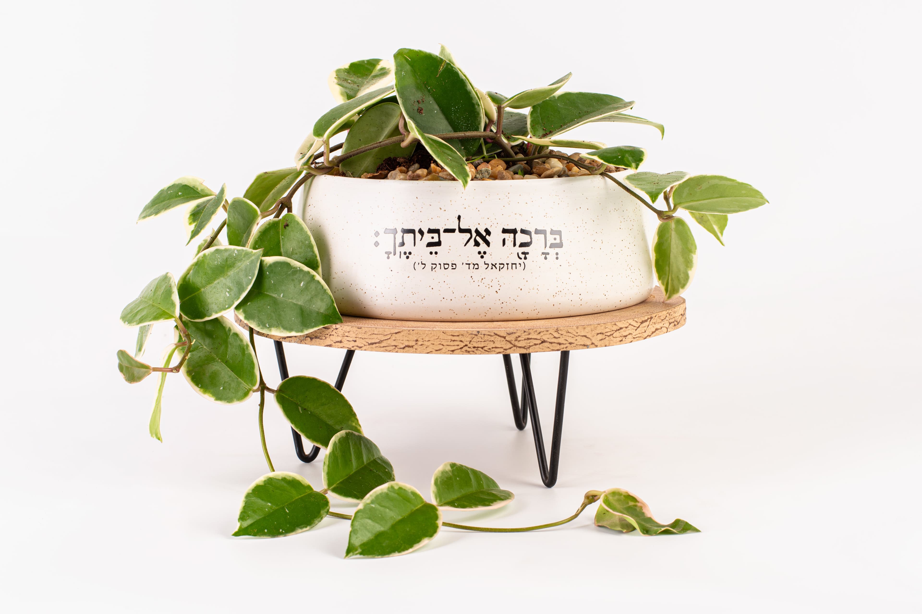 ברכה אל ביתך - אדניות