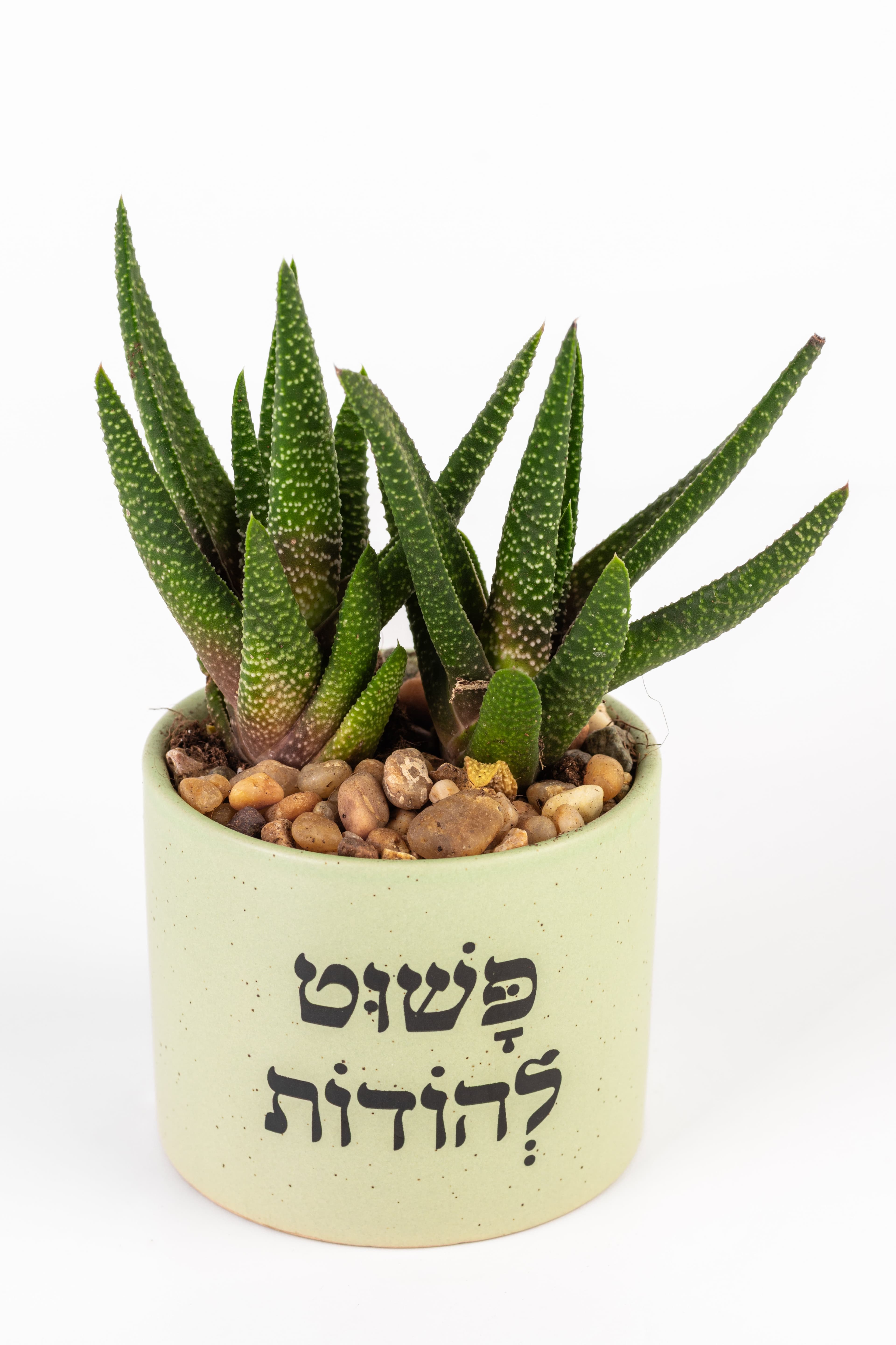 פשוט להודות 1