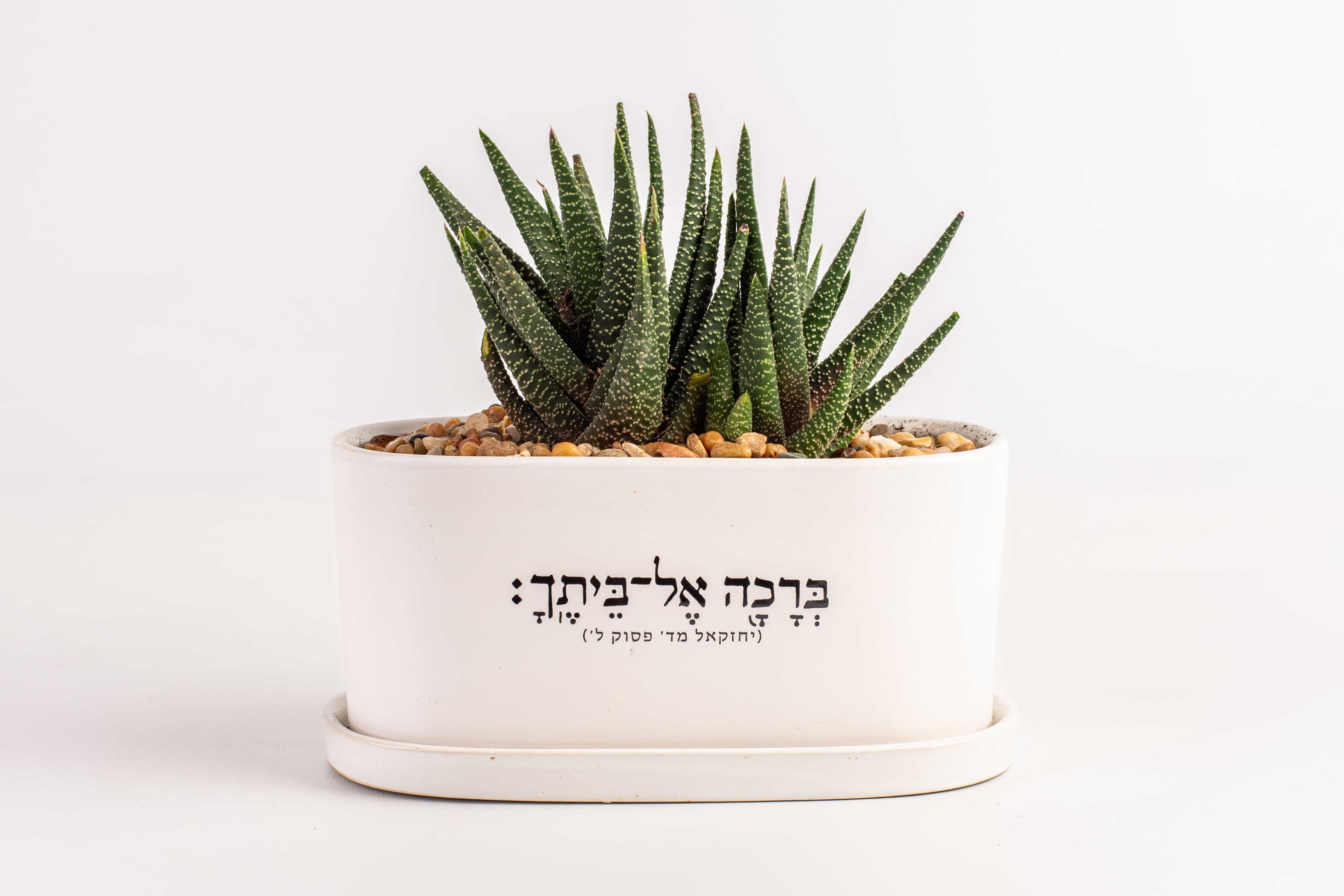 ברכה אל ביתך - אדניות 1
