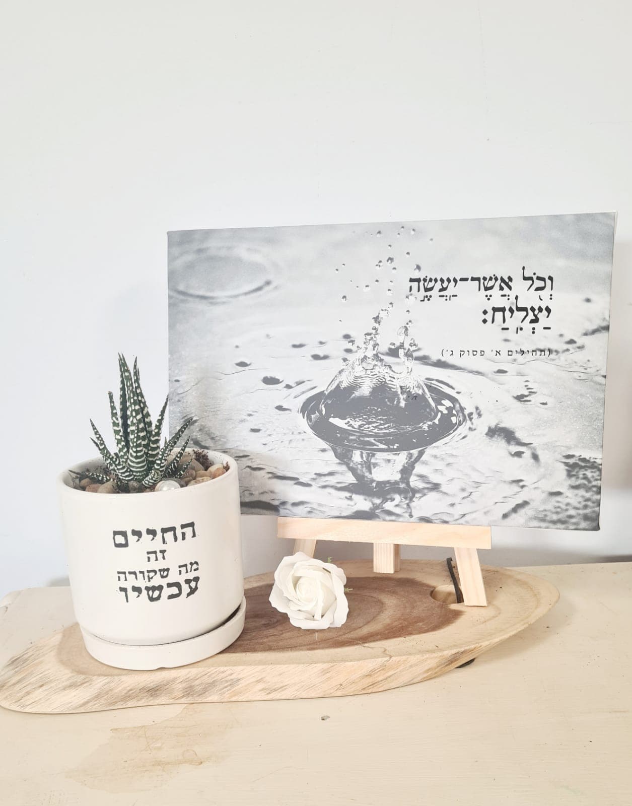 מארז החיים זה עכשיו + וכל אשר