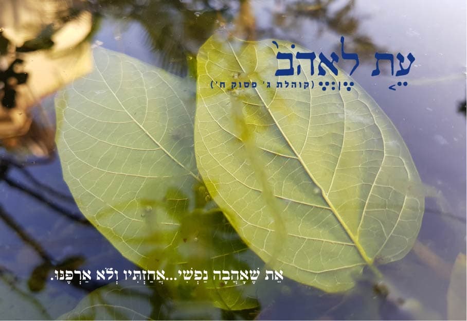 עת לאהב