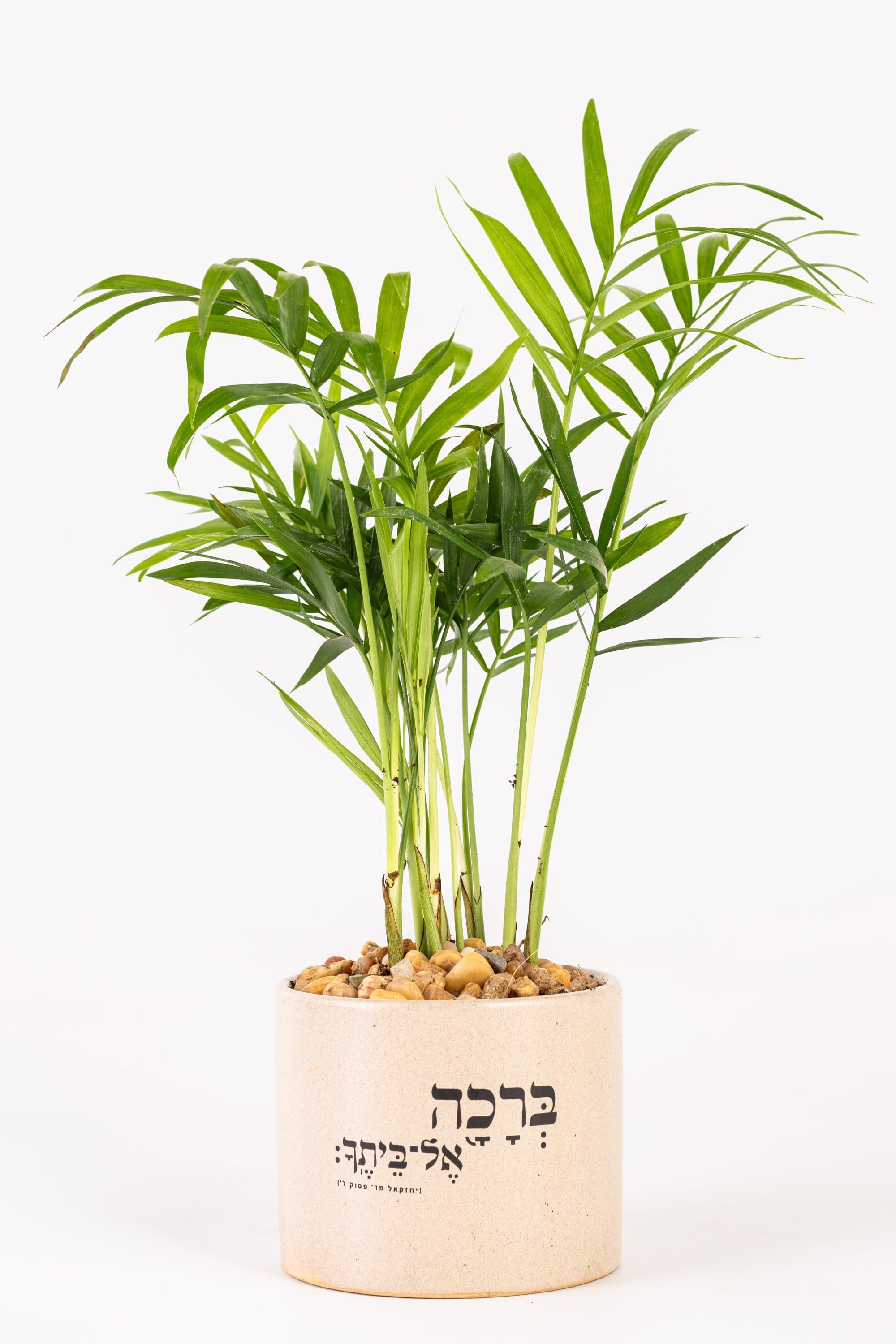 ברכה אל ביתך