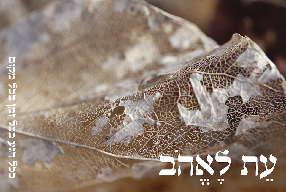 עת לאהב
