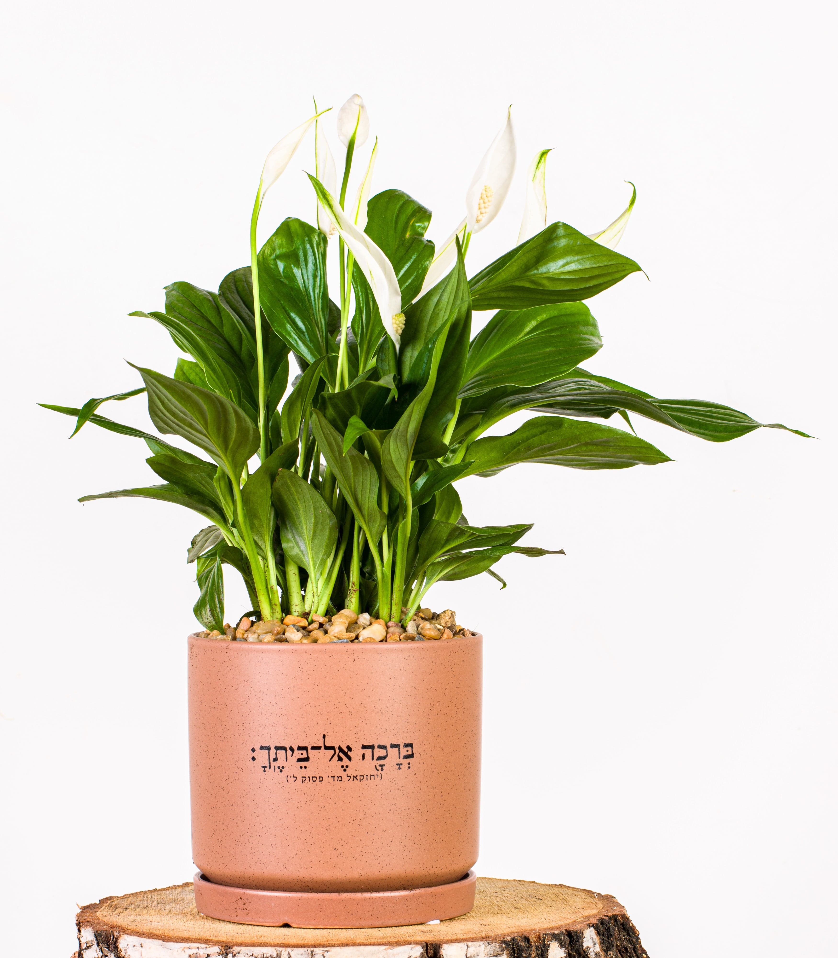 ברכה אל ביתך