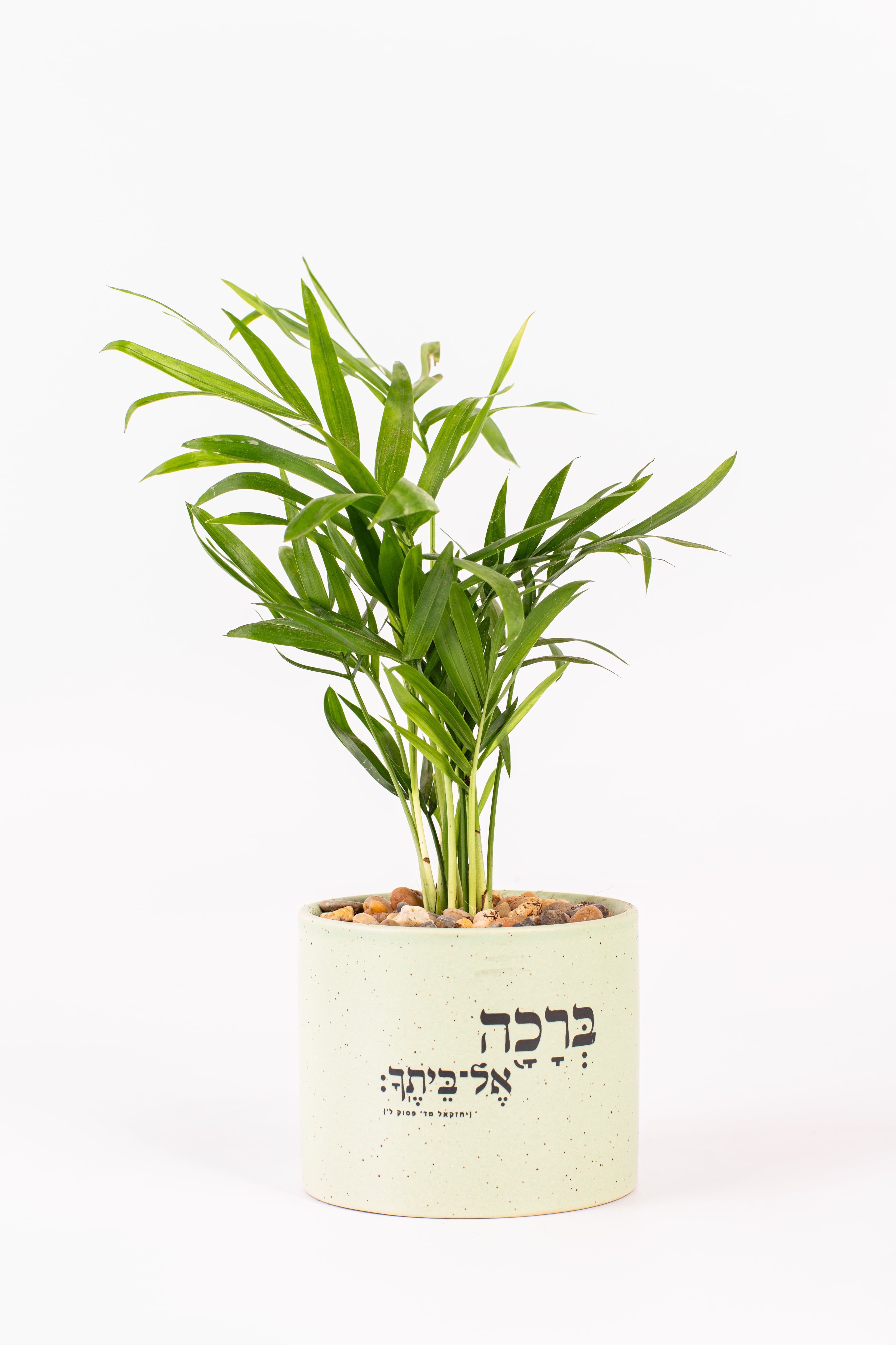ברכה אל ביתך 1