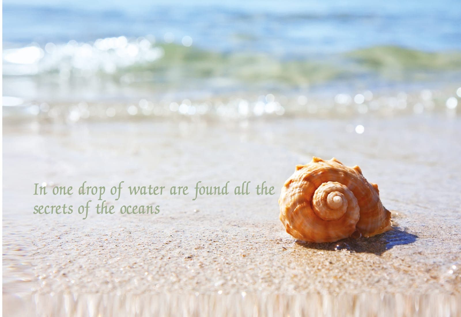 In one drop of water are found all the secrets of the oceans