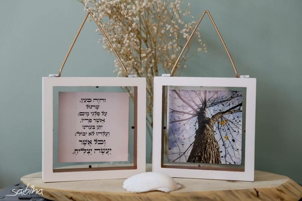 עץ בשמיים + והיה כעץ שתול