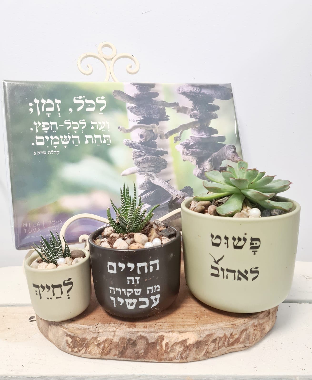 מארז לחייך + החיים זה עכשיו + פשוט לאהוב + לכל זמן
