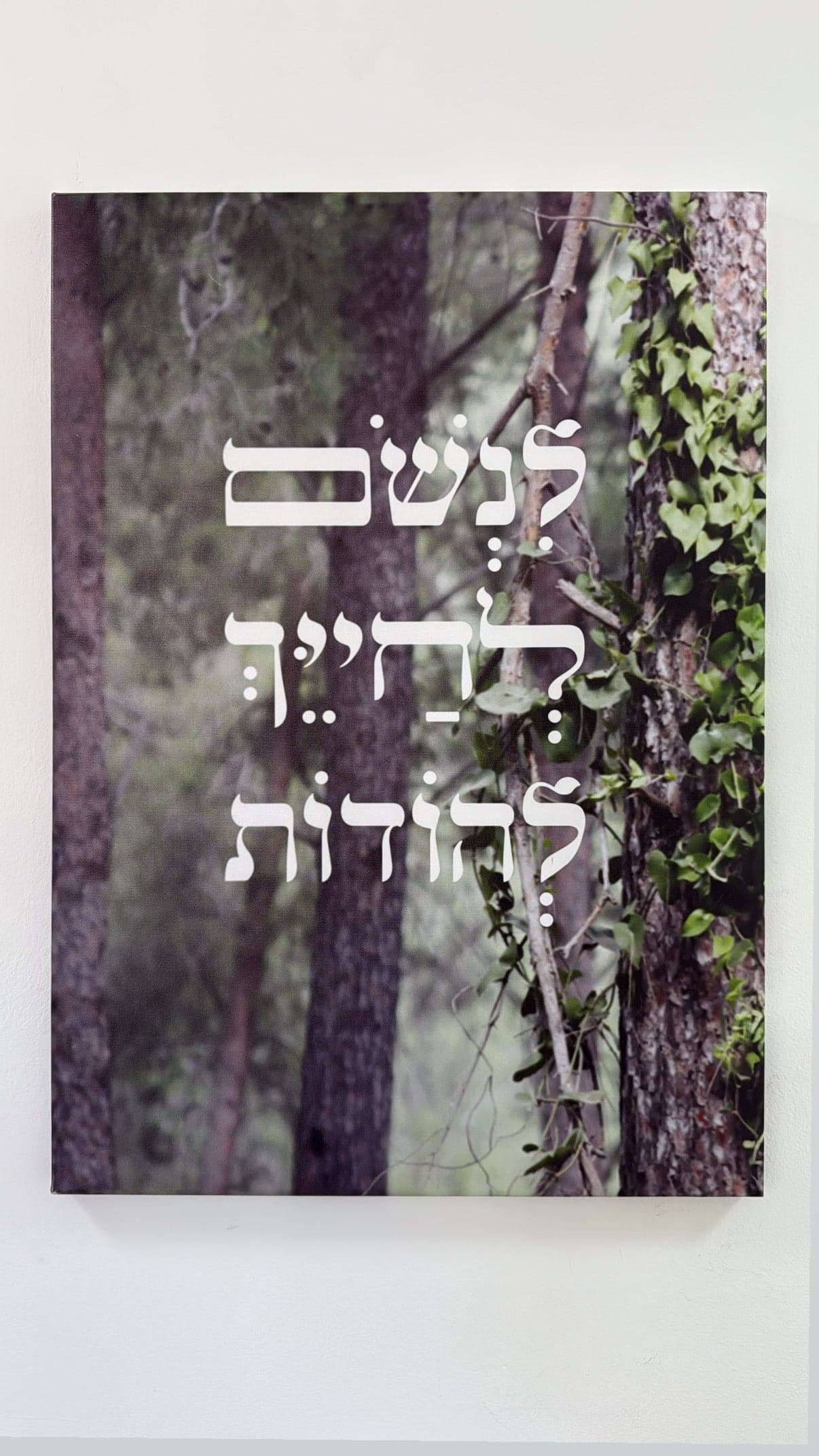 לנשום לחייך להודות קנבס 50/70 1