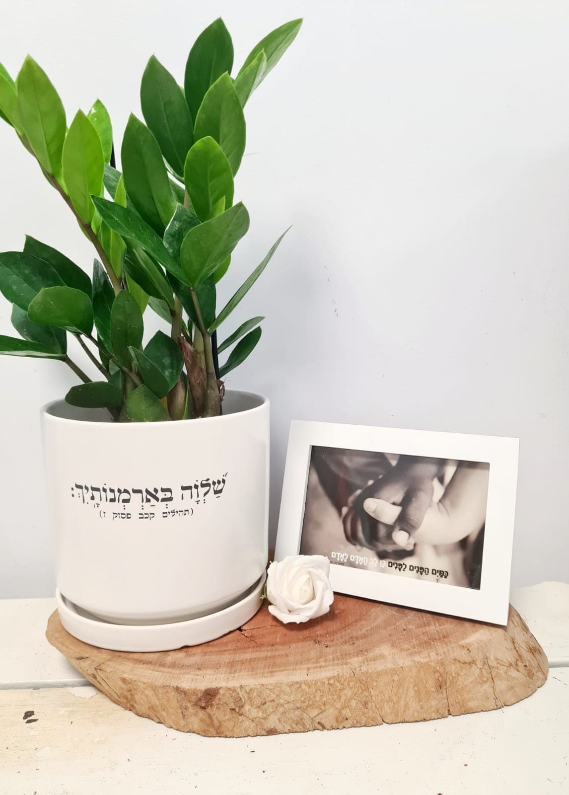 מארז שלווה בארמונותיך + כמים לפנים