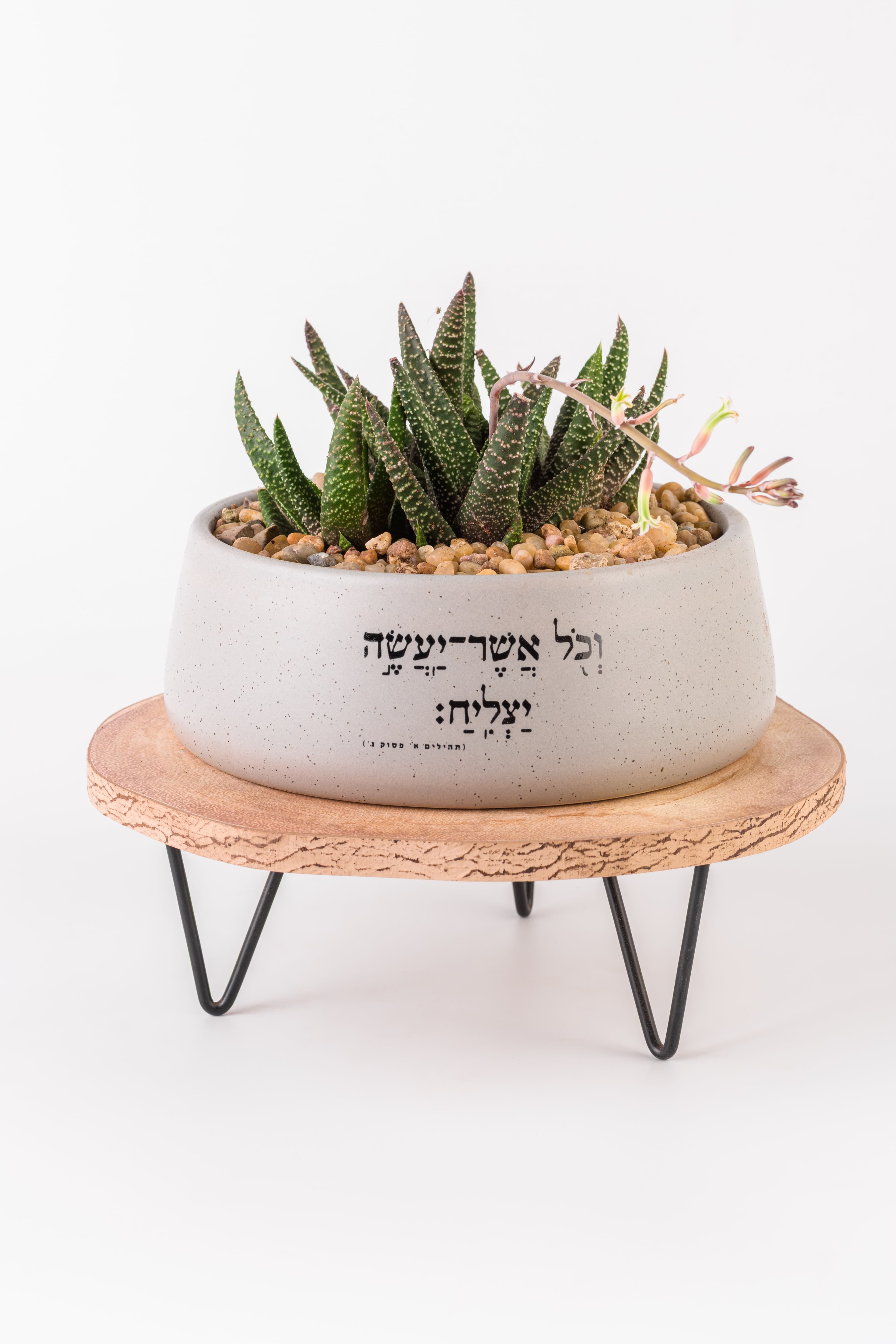 וכל אשר יעשה יצליח - אדניות 1