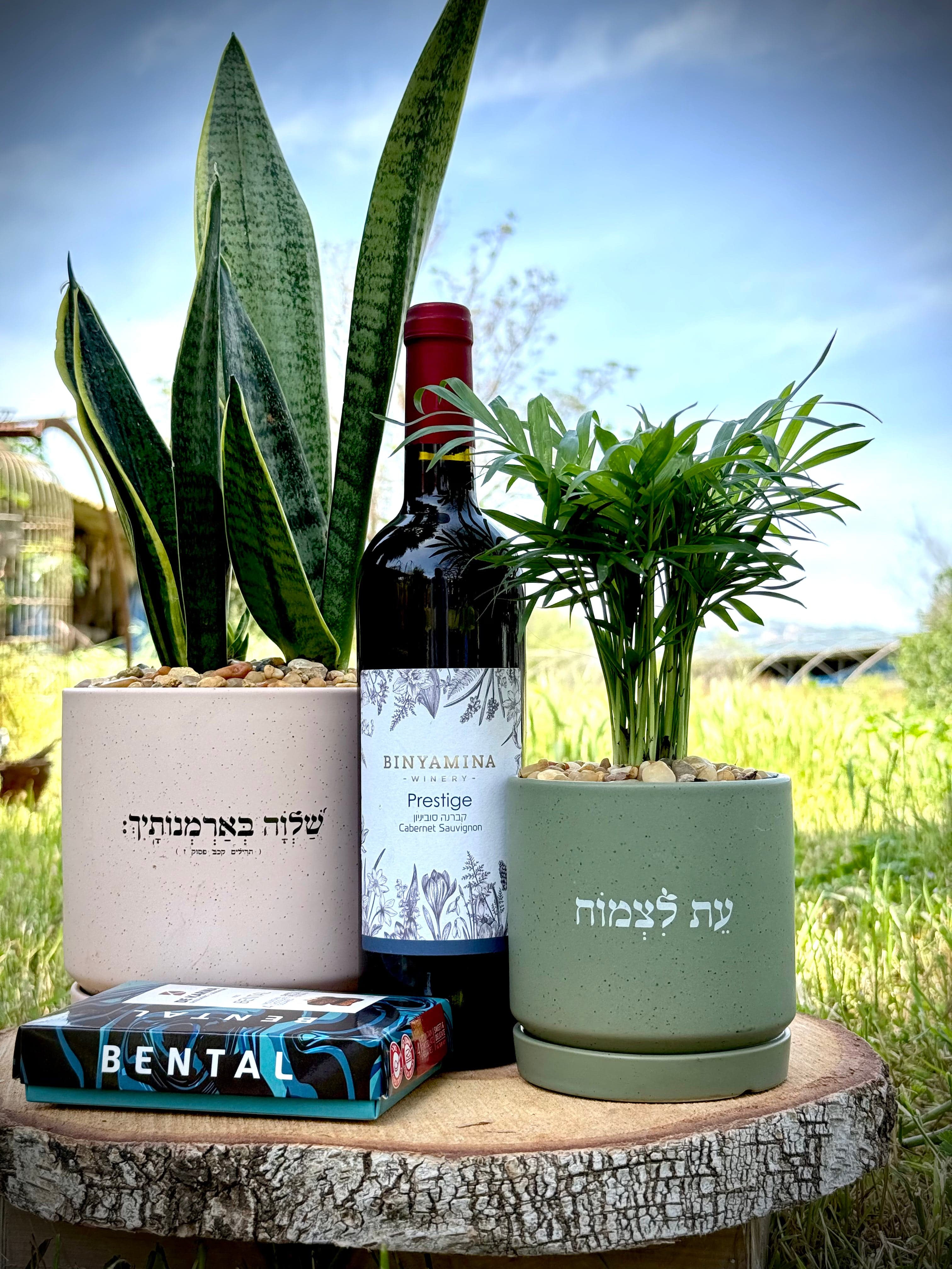 מארז לאיחול שלווה וצמיחה