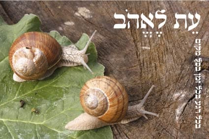 עת לאהב
