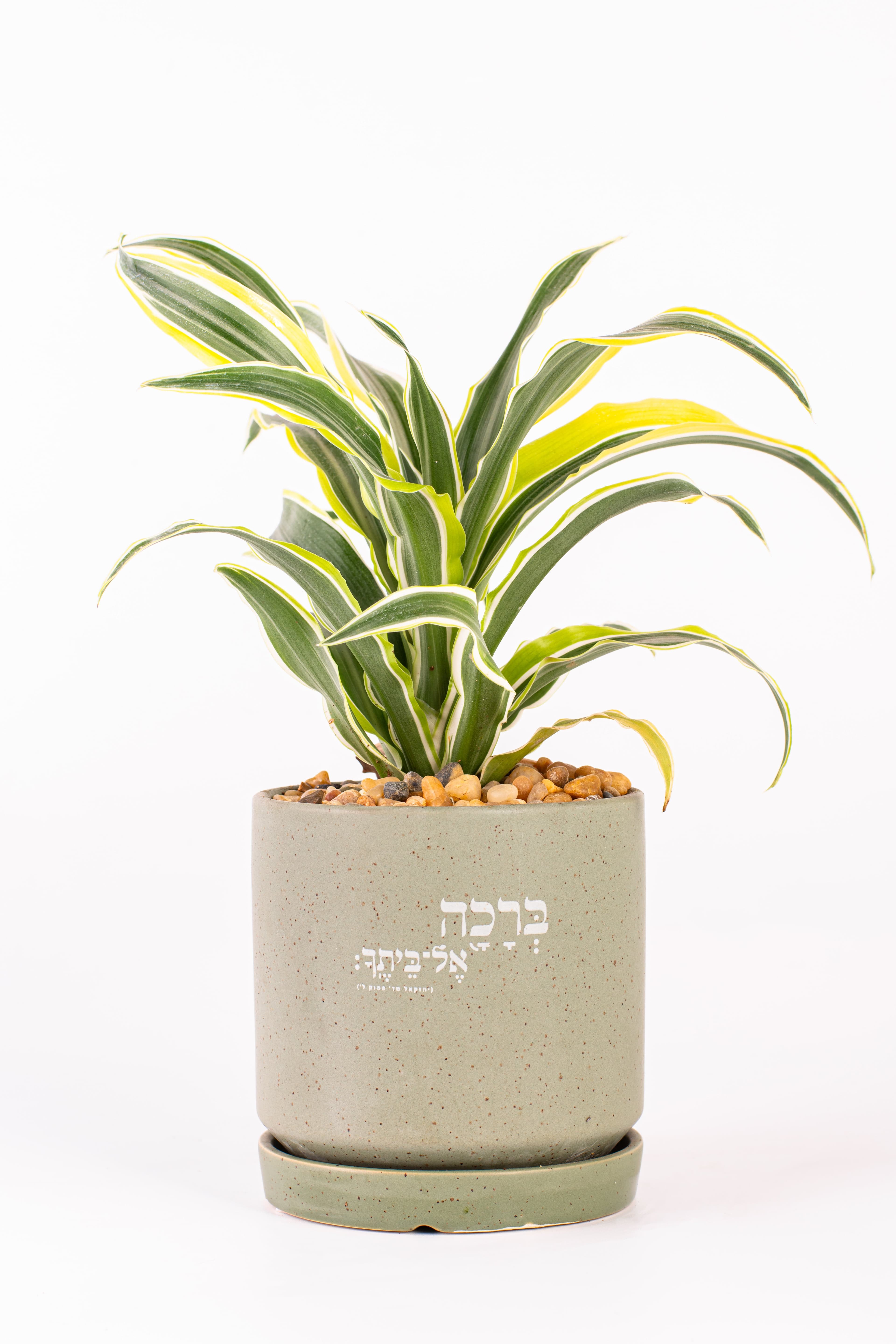ברכה אל ביתך 1