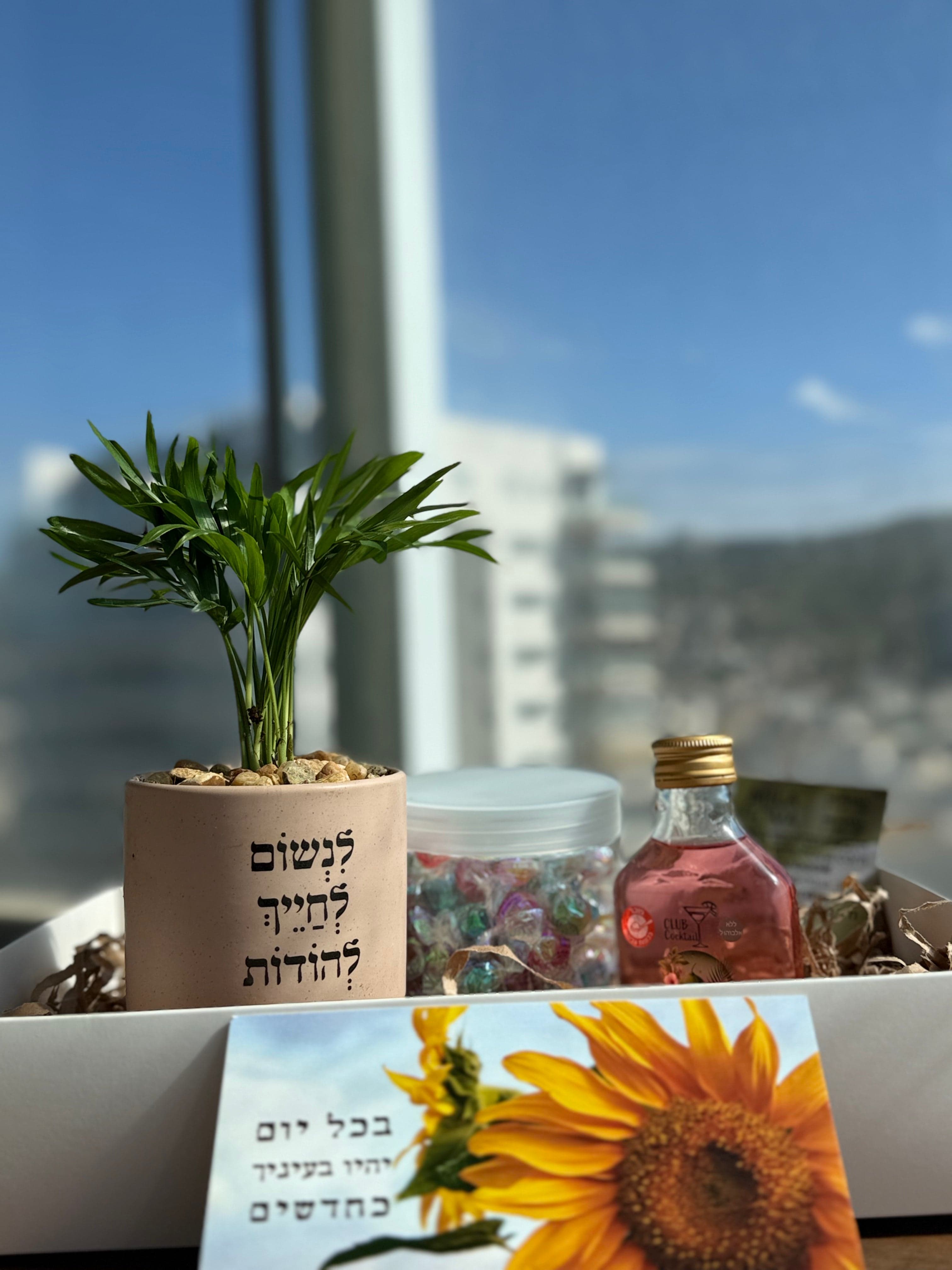 מארז זהב 1