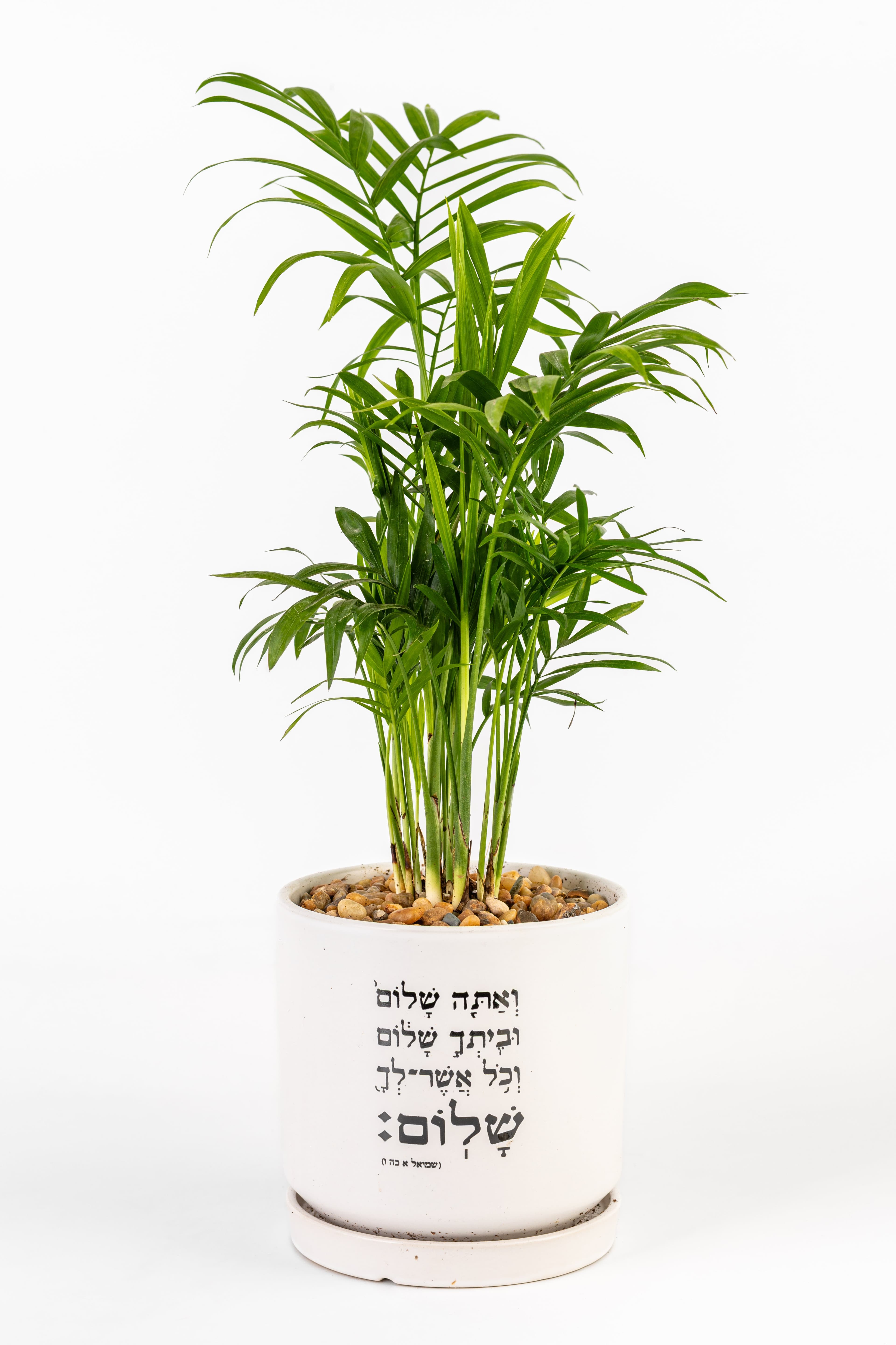 אתה שלום 1