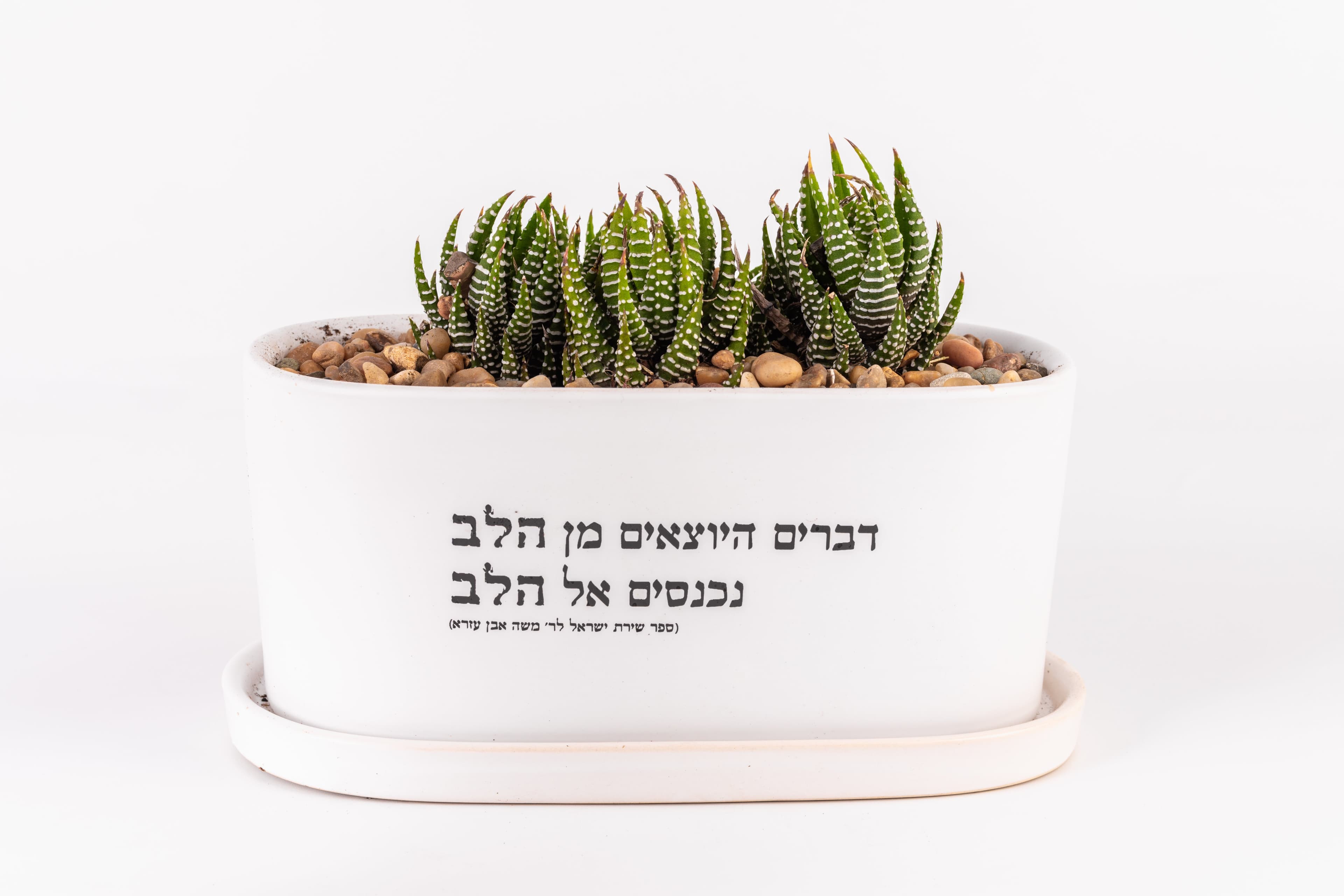 דברים היוצאים מן הלב - אדניות