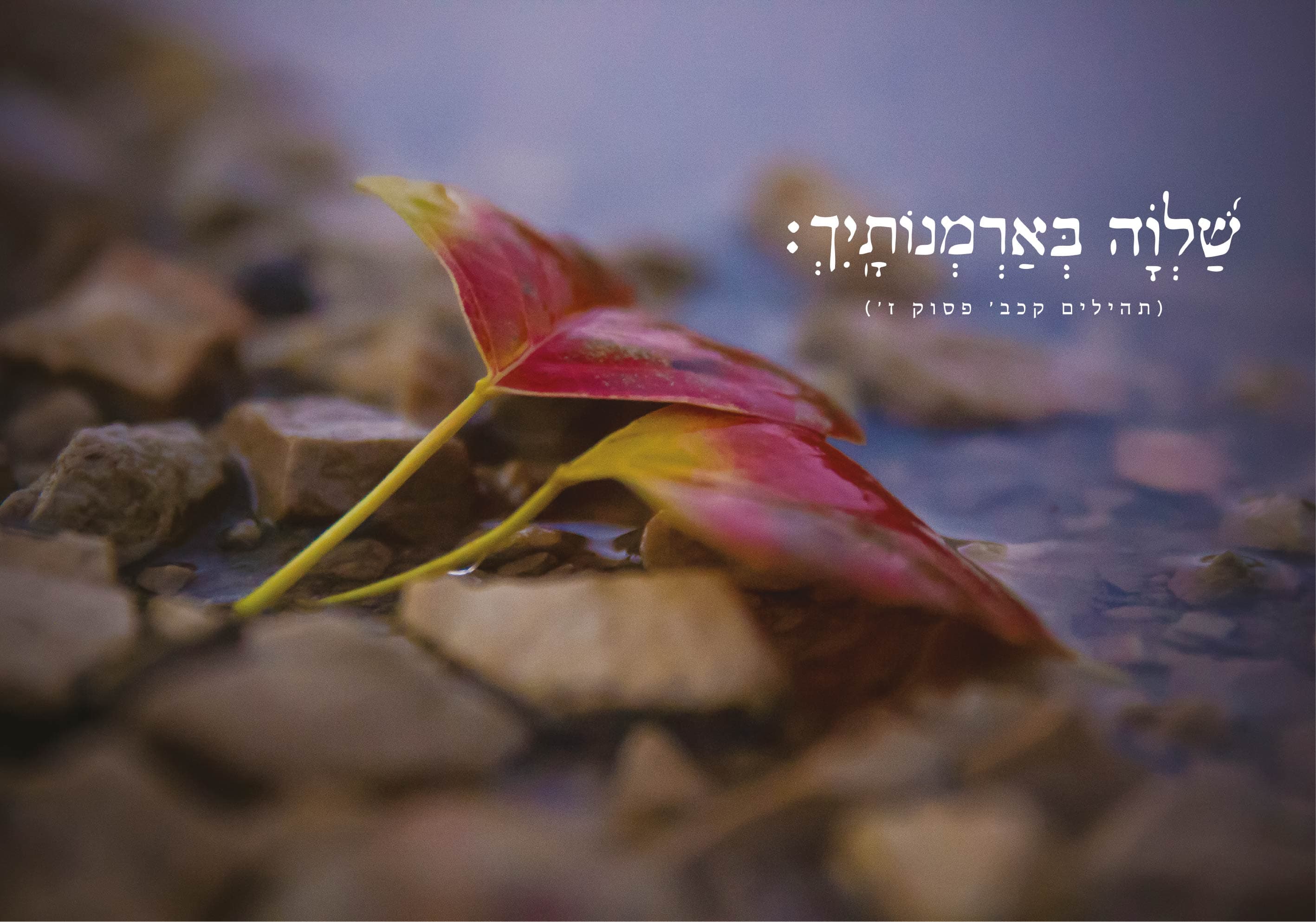 שלוה בארמונותיך