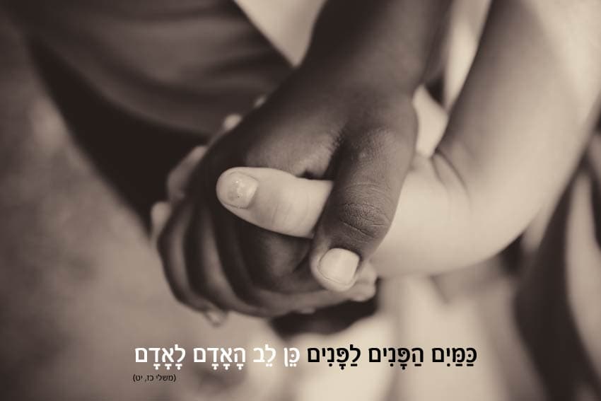 כמים הפנים לפנים כן לב האדם לאדם 1
