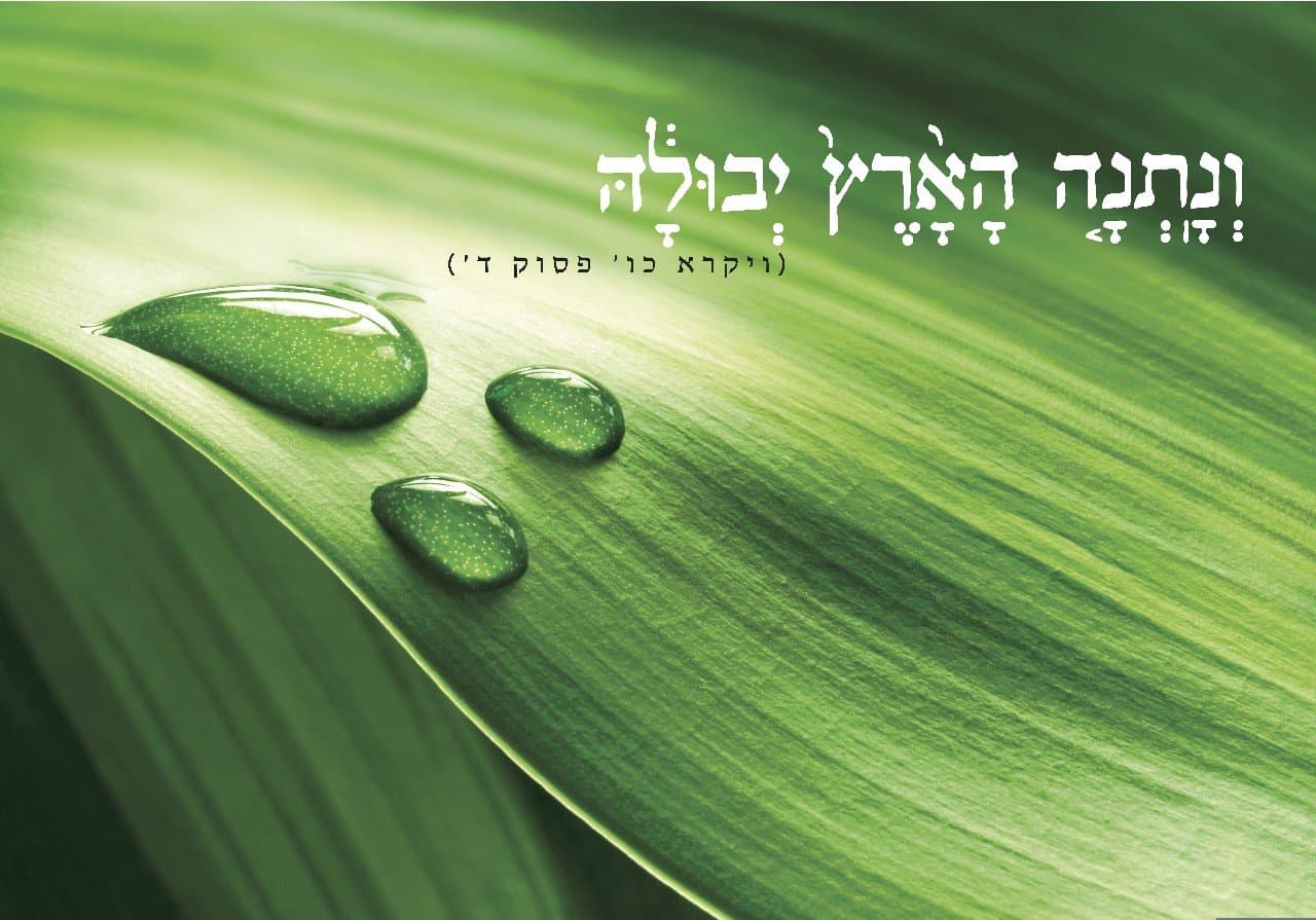 מעמד עץ / 70*100 - מילה טובה