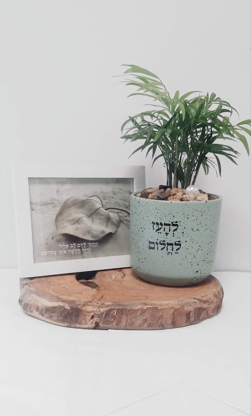 מארז להעז לחלום + ונתתי להם לב