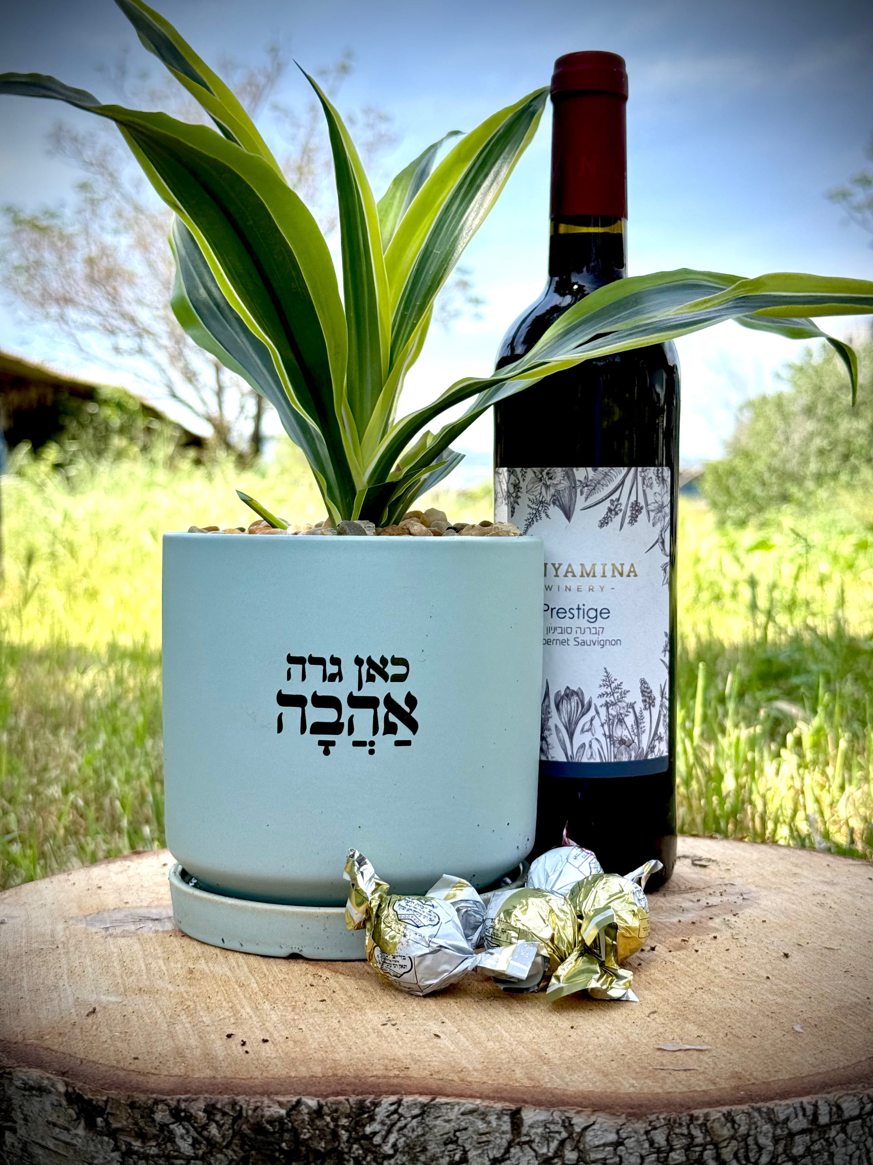 מארז של אהבה